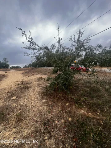 a view of a dry yard