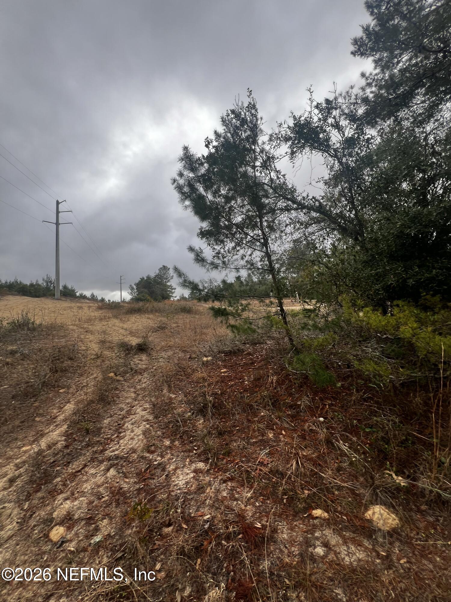 226 Ridge Road Satsuma, FL 32189 - Photo 28 of 61 IMG_0915