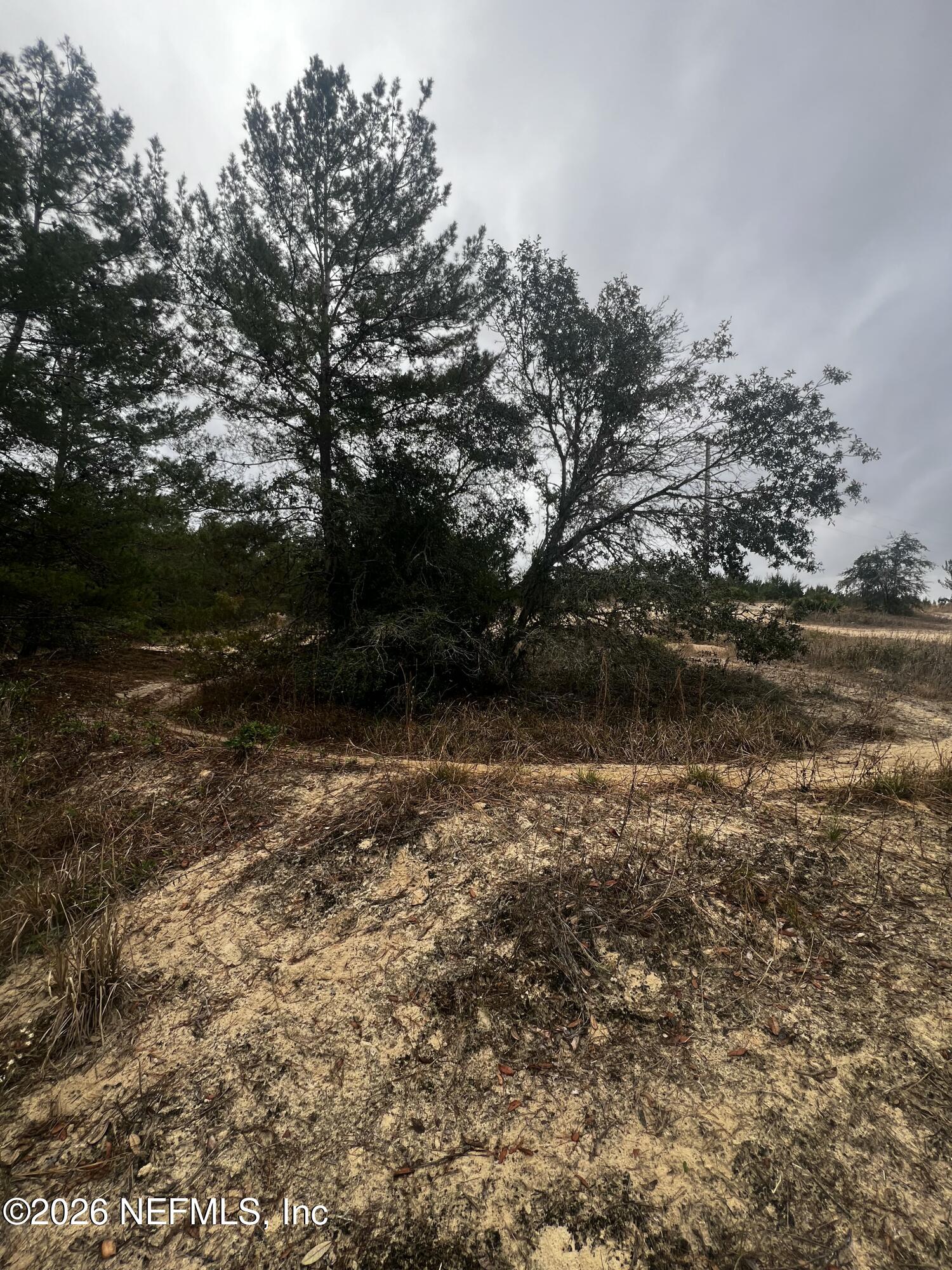 226 Ridge Road Satsuma, FL 32189 - Photo 29 of 61 IMG_0936