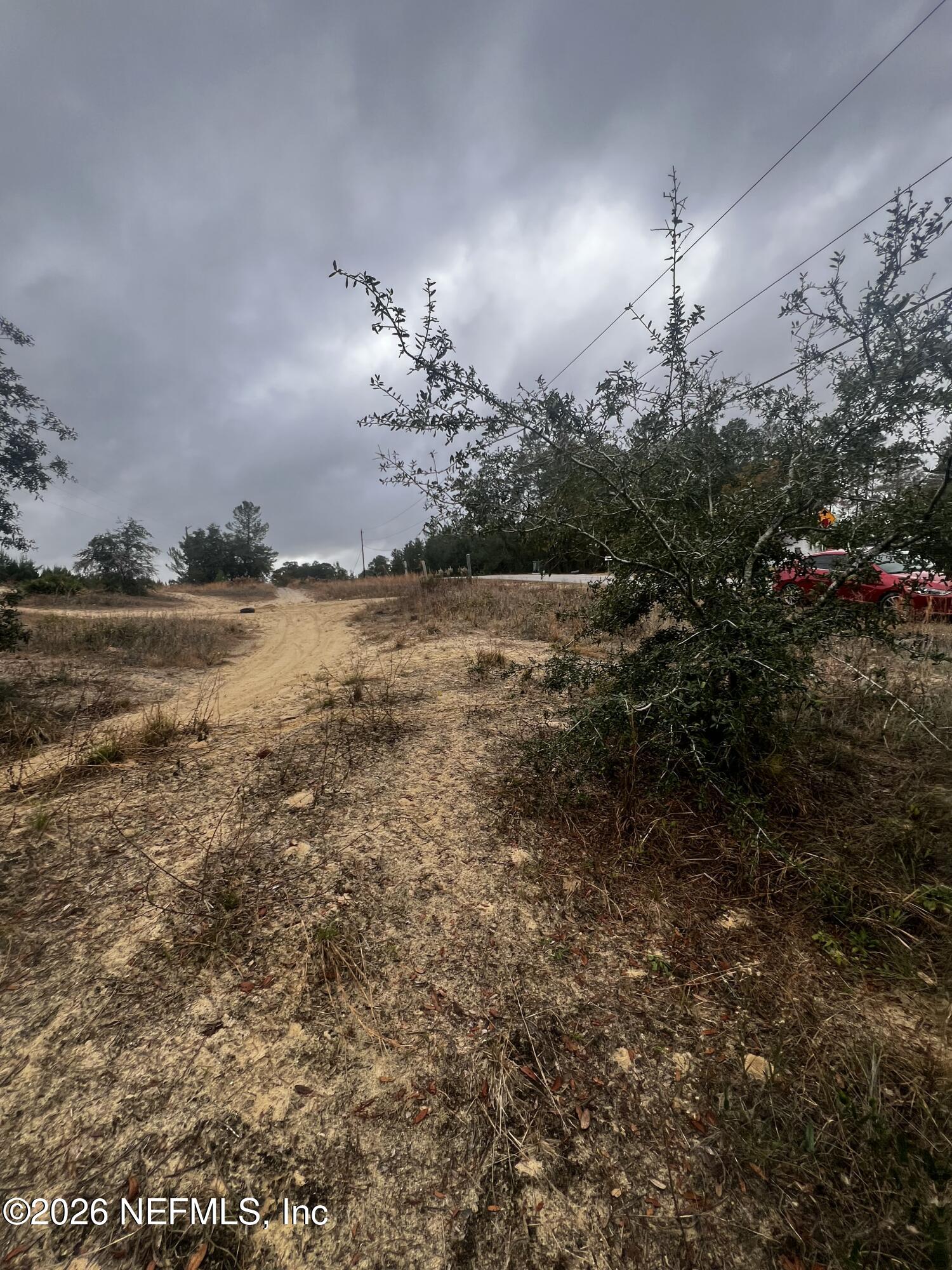 226 Ridge Road Satsuma, FL 32189 - Photo 30 of 61 IMG_0929