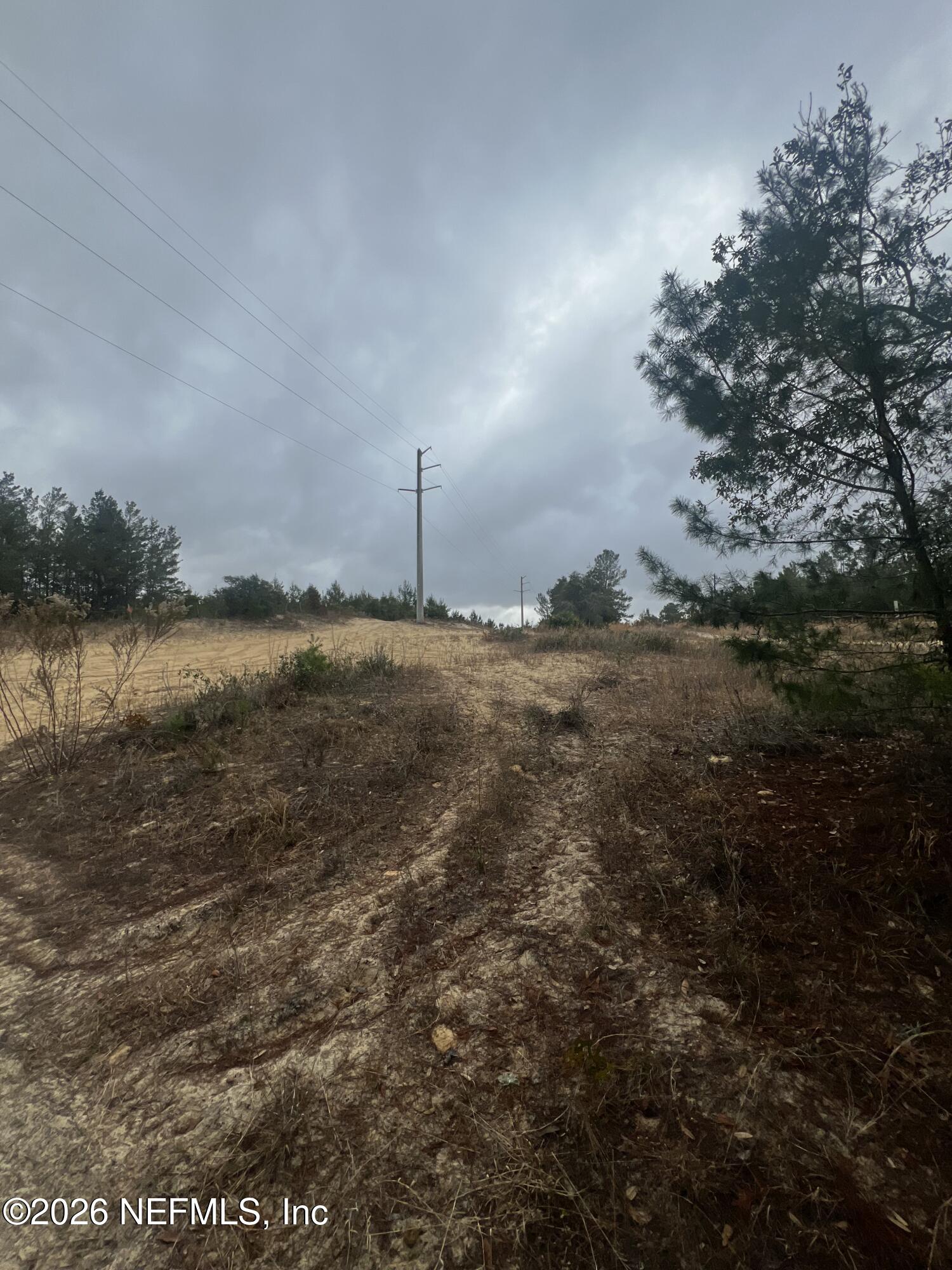 226 Ridge Road Satsuma, FL 32189 - Photo 3 of 61 IMG_0919