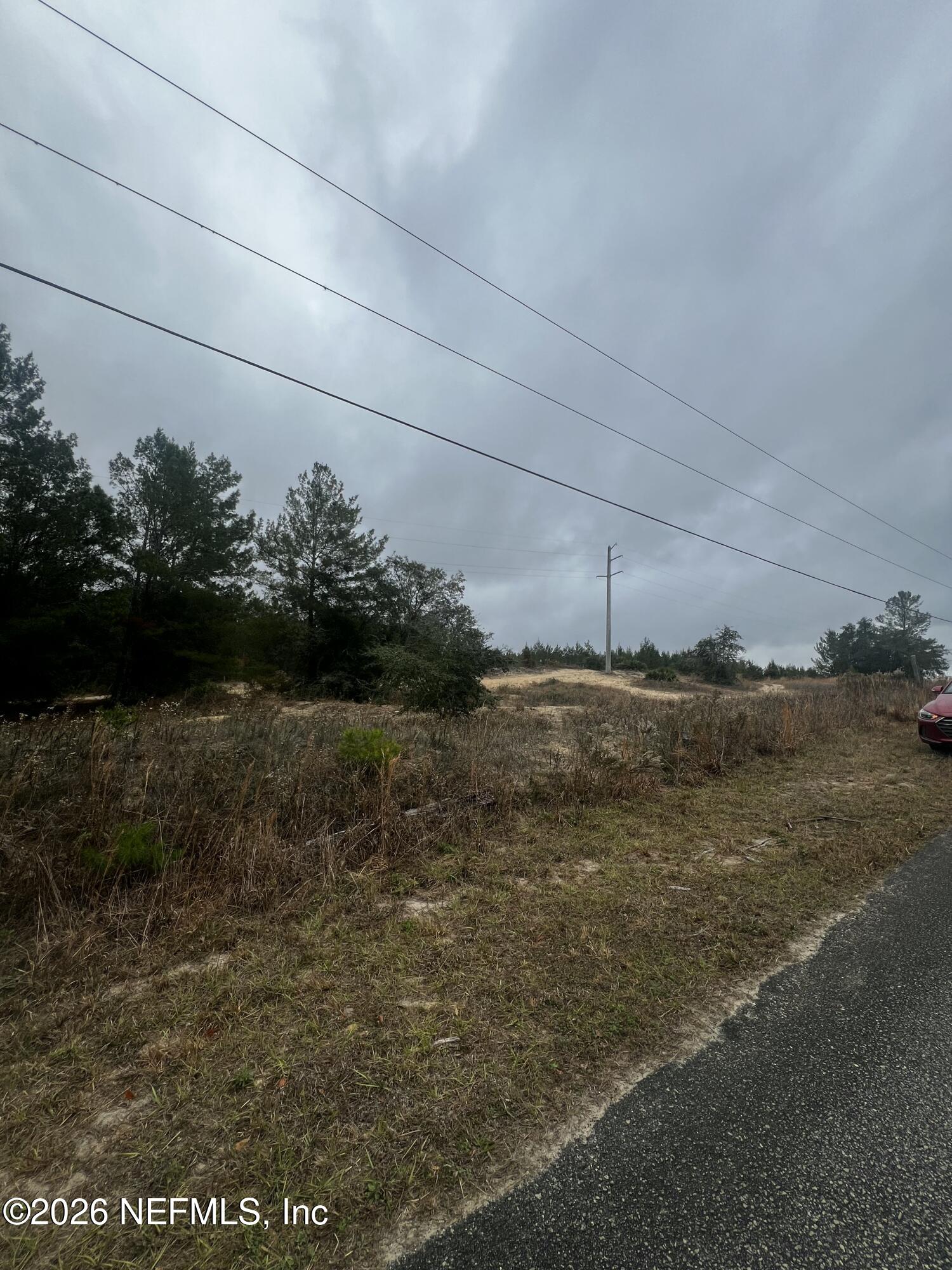 226 Ridge Road Satsuma, FL 32189 - Photo 31 of 61 IMG_0898