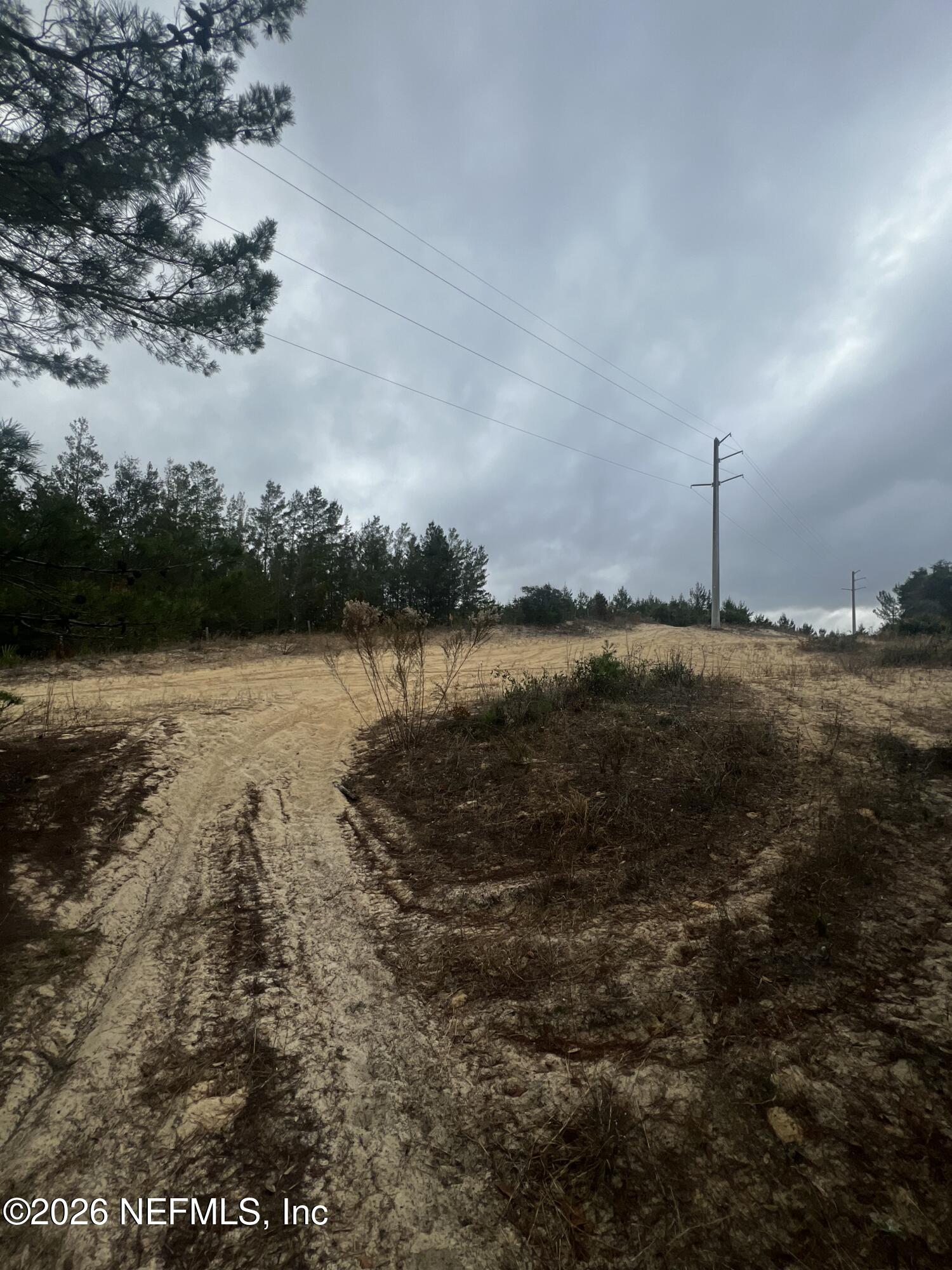 226 Ridge Road Satsuma, FL 32189 - Photo 33 of 61 IMG_0923