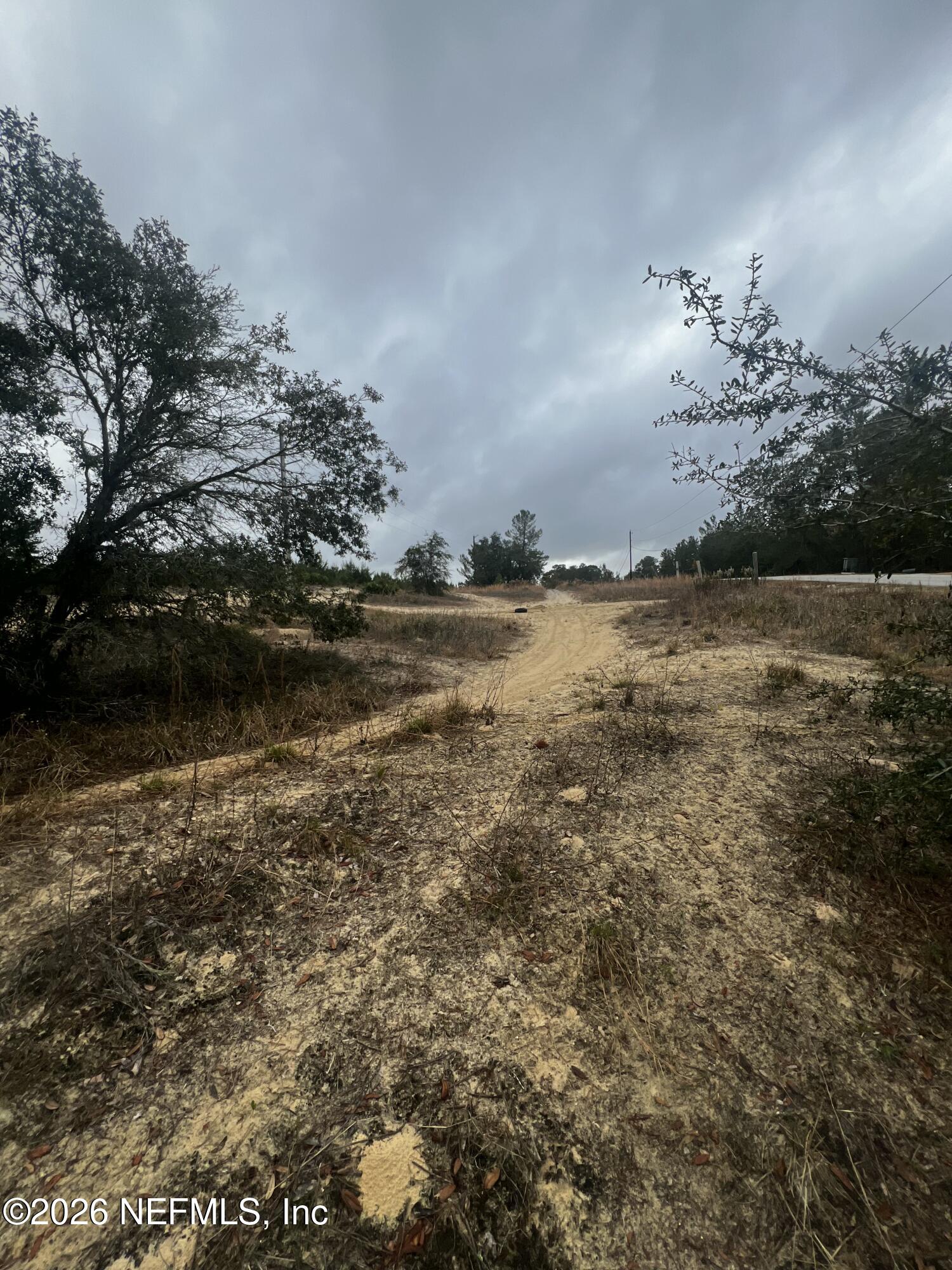 226 Ridge Road Satsuma, FL 32189 - Photo 34 of 61 IMG_0931