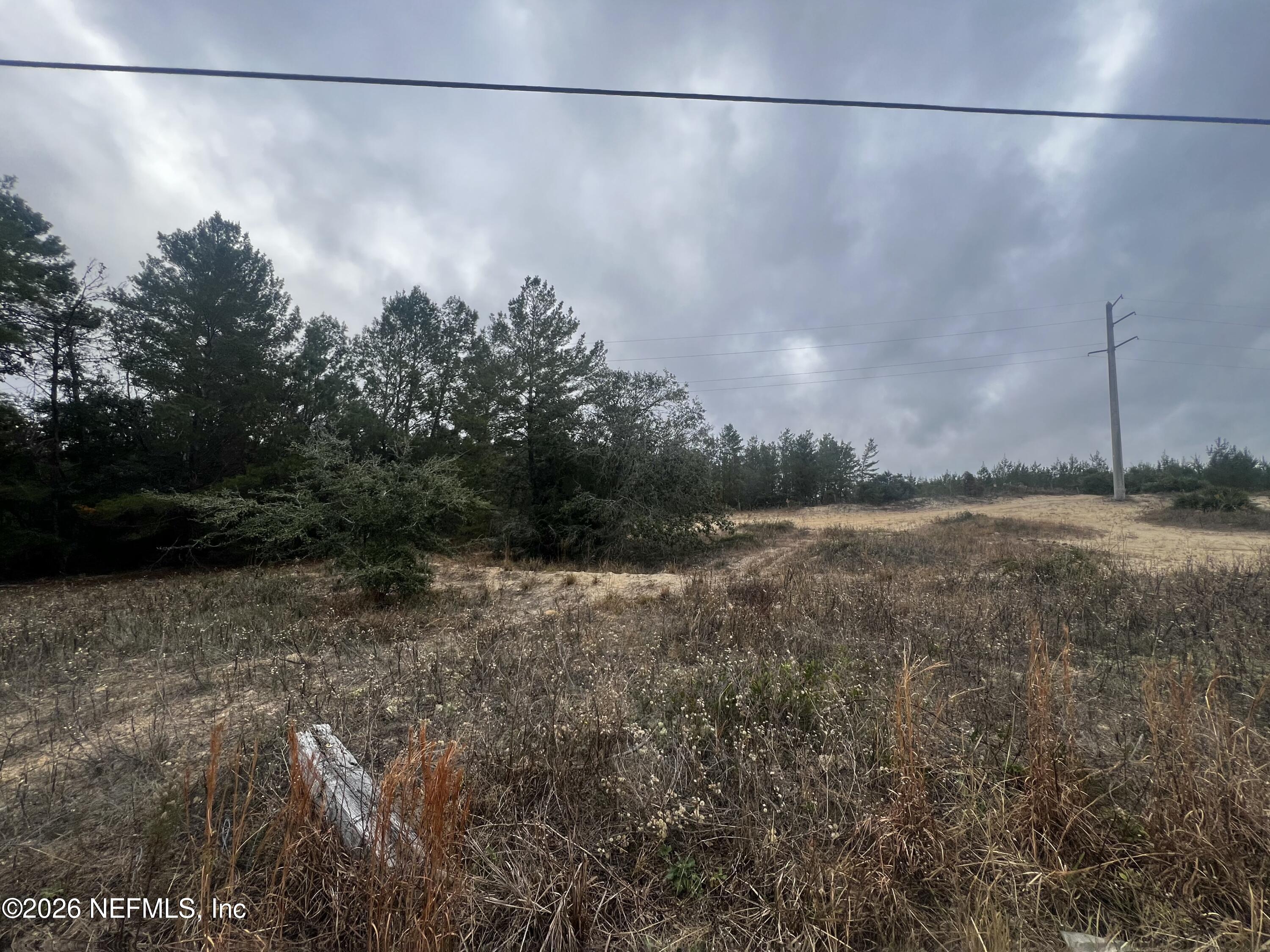 226 Ridge Road Satsuma, FL 32189 - Photo 35 of 61 IMG_0949