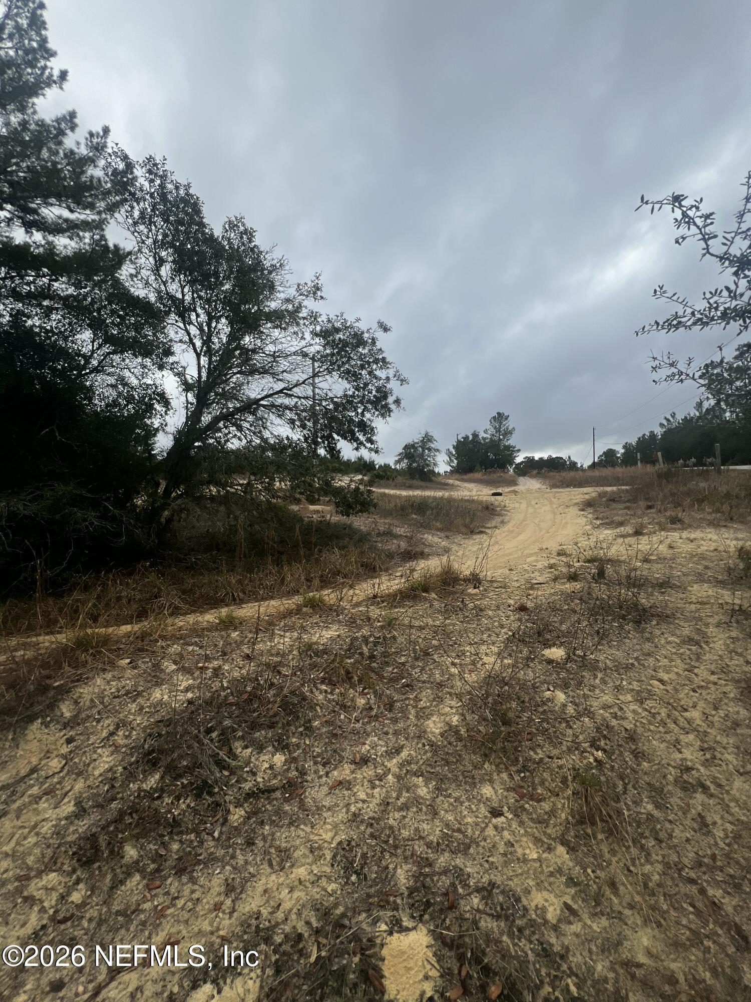 226 Ridge Road Satsuma, FL 32189 - Photo 36 of 61 IMG_0933