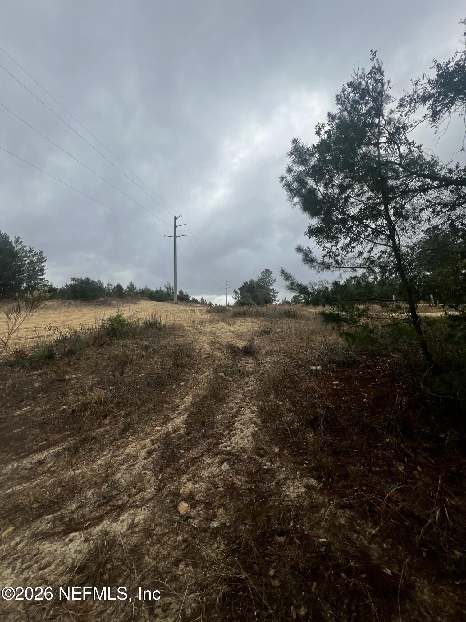 226 Ridge Road Satsuma, FL 32189 - Photo 37 of 61 IMG_0918