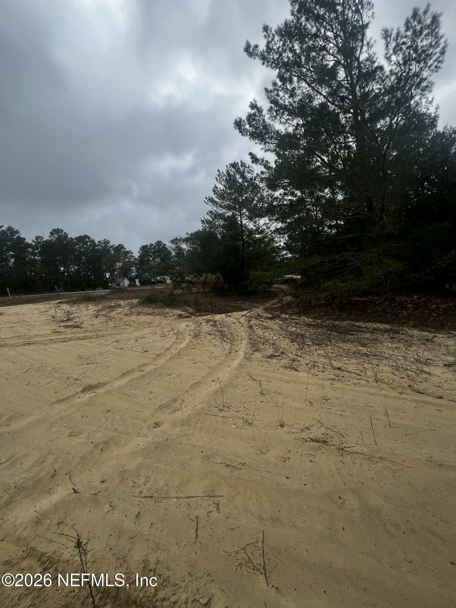 226 Ridge Road Satsuma, FL 32189 - Photo 38 of 61 IMG_0910