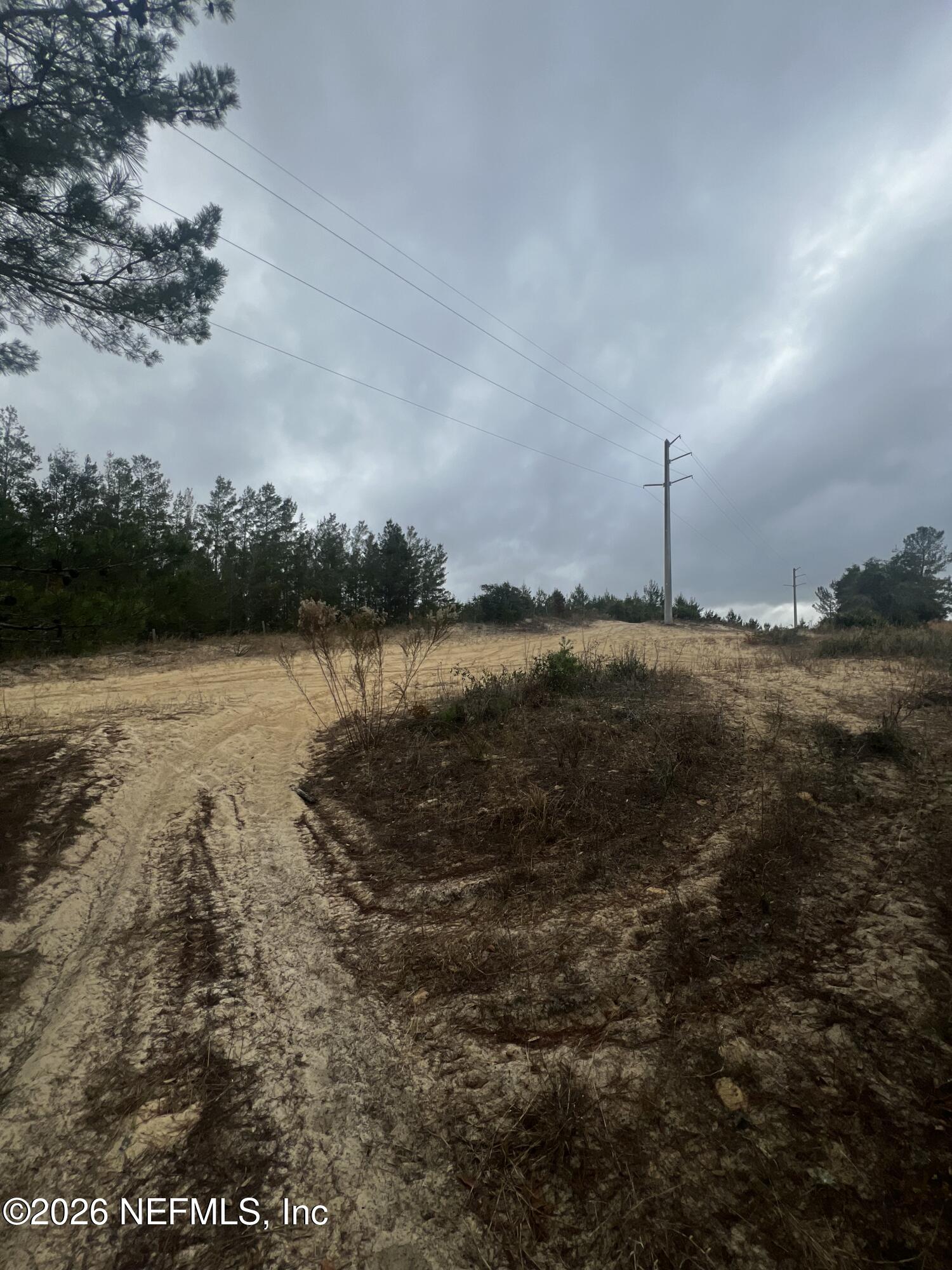 226 Ridge Road Satsuma, FL 32189 - Photo 39 of 61 IMG_0922