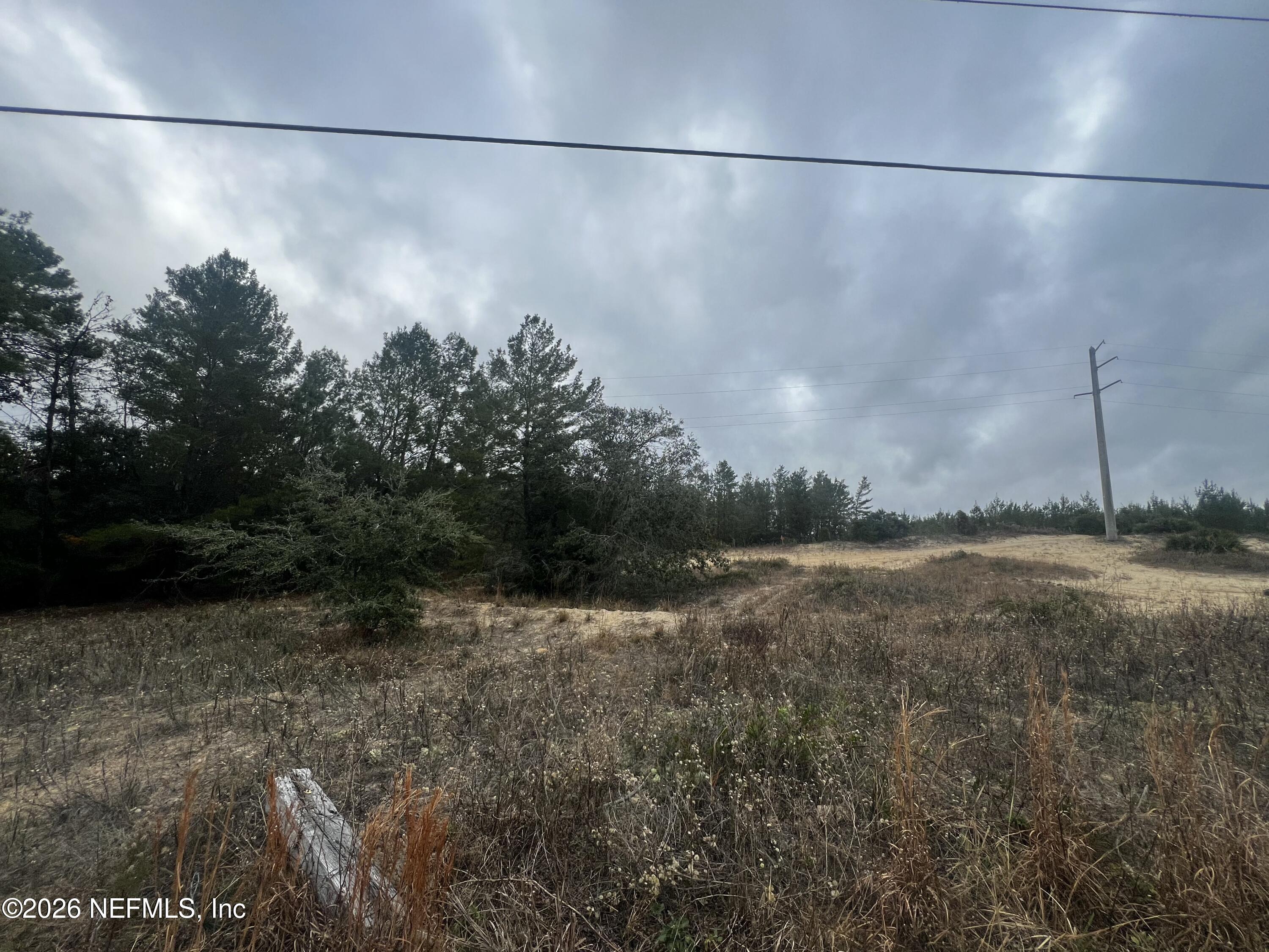 226 Ridge Road Satsuma, FL 32189 - Photo 40 of 61 IMG_0950