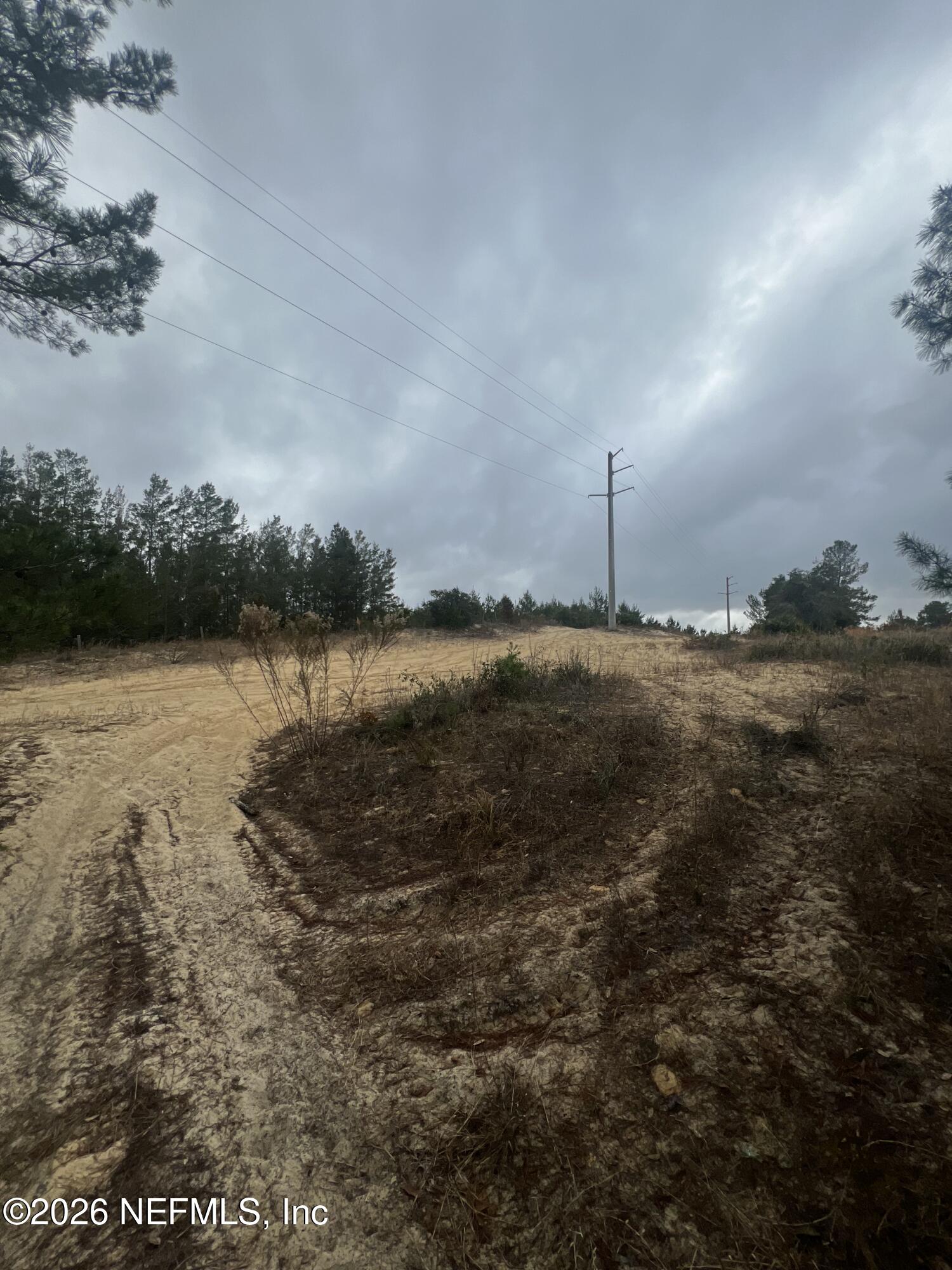 226 Ridge Road Satsuma, FL 32189 - Photo 43 of 61 IMG_0921