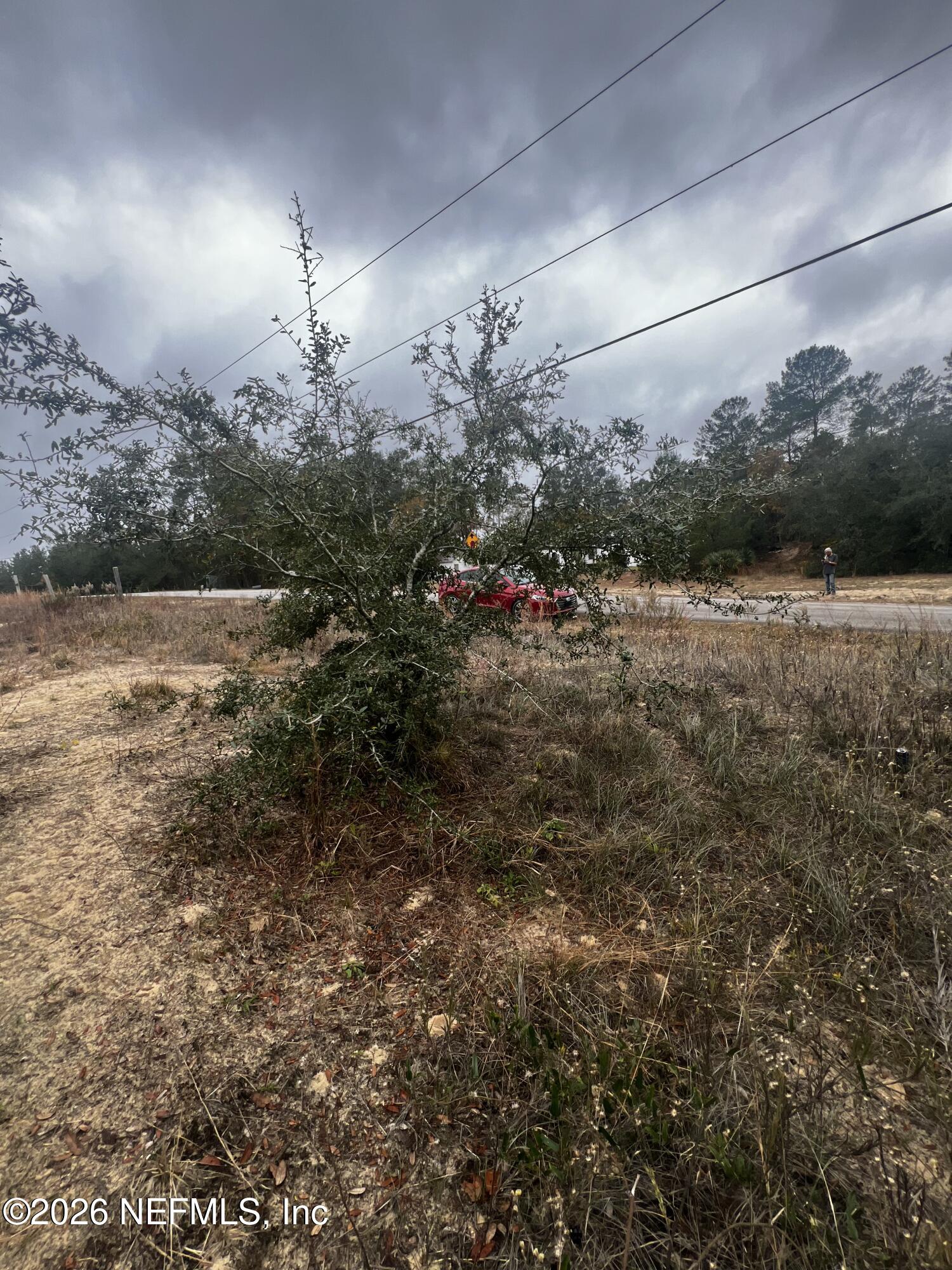 226 Ridge Road Satsuma, FL 32189 - Photo 44 of 61 IMG_0926