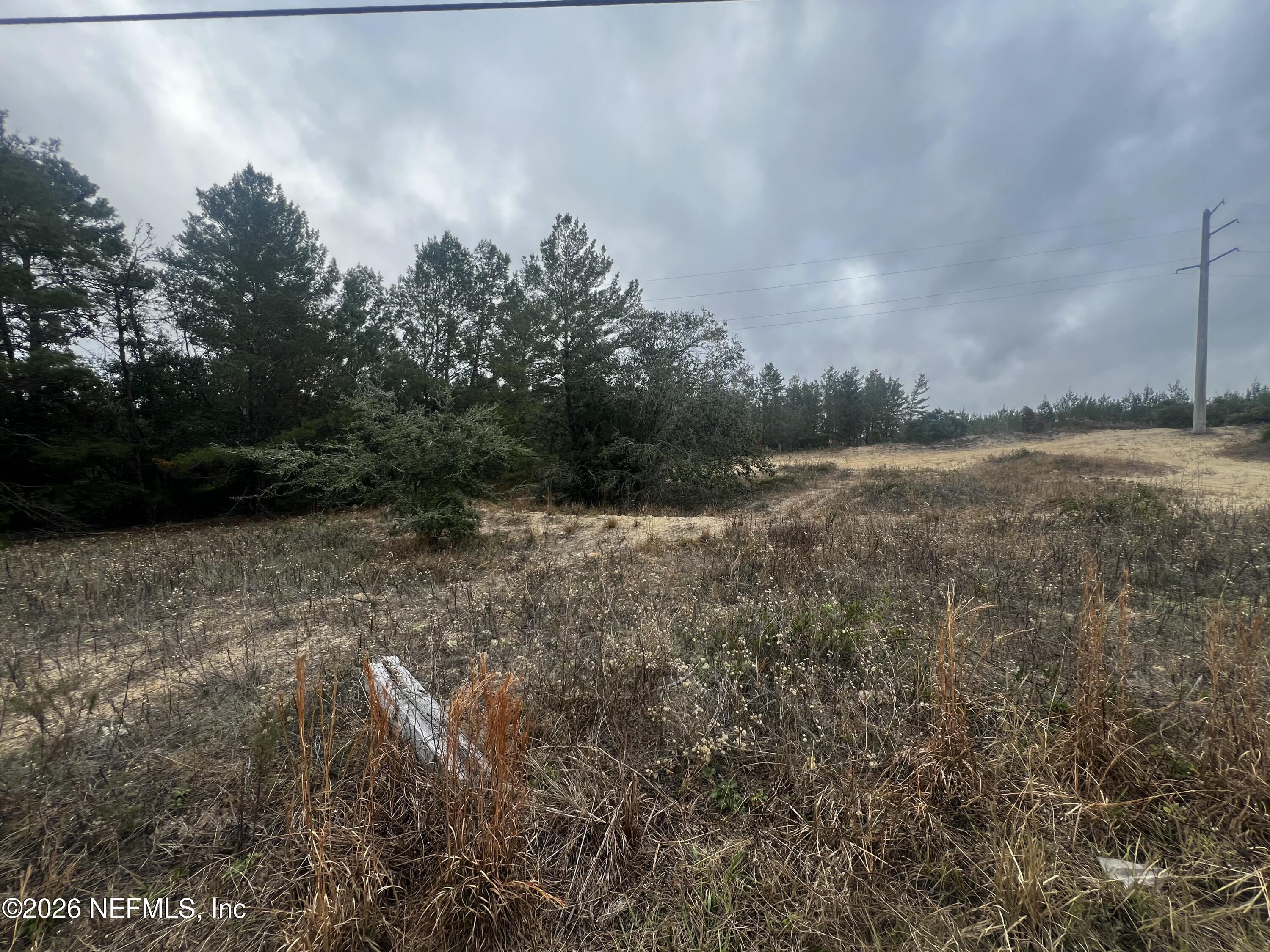 226 Ridge Road Satsuma, FL 32189 - Photo 45 of 61 IMG_0952