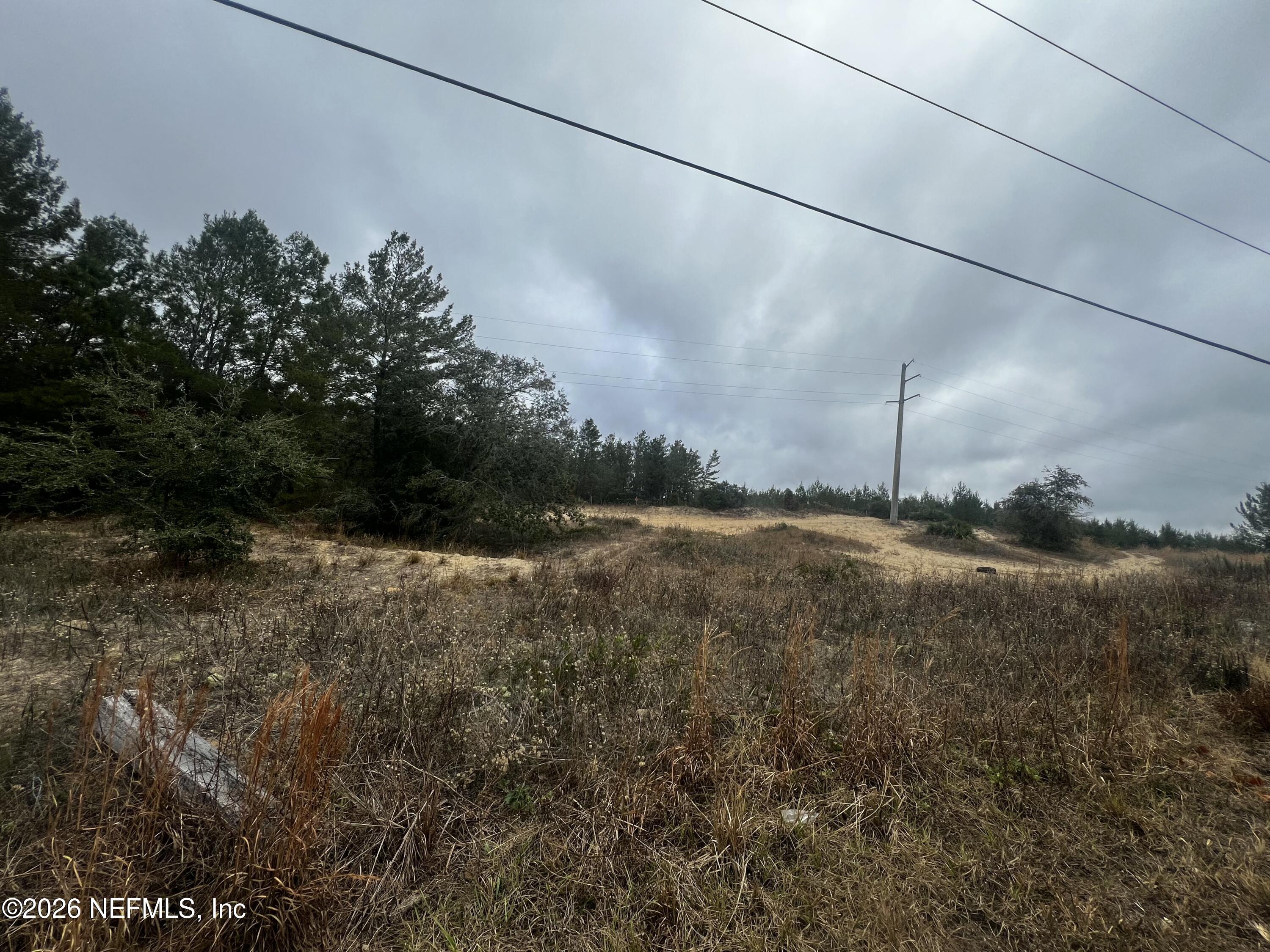 226 Ridge Road Satsuma, FL 32189 - Photo 50 of 61 IMG_0939