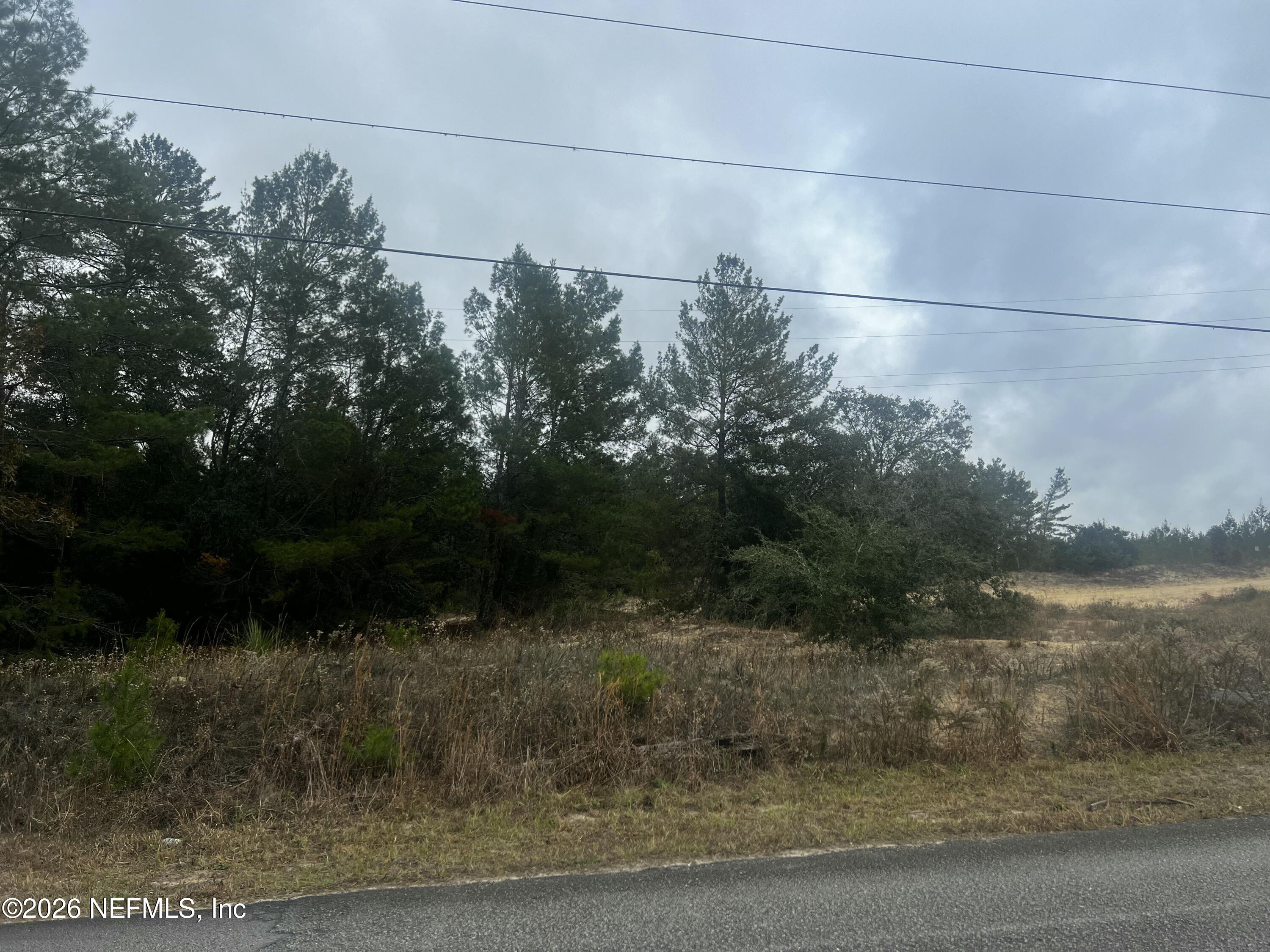 226 Ridge Road Satsuma, FL 32189 - Photo 52 of 61 IMG_0945