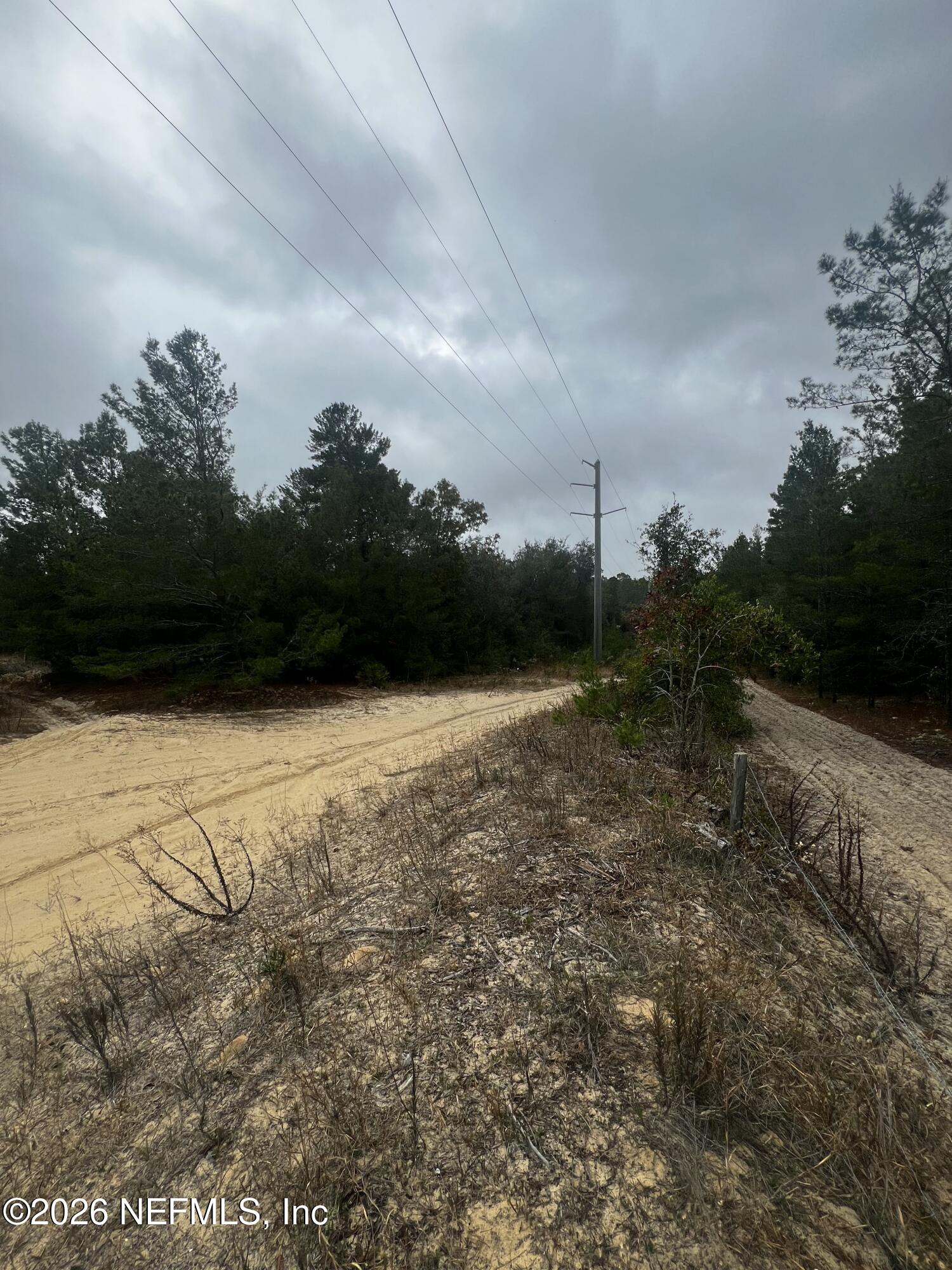 226 Ridge Road Satsuma, FL 32189 - Photo 53 of 61 IMG_0906