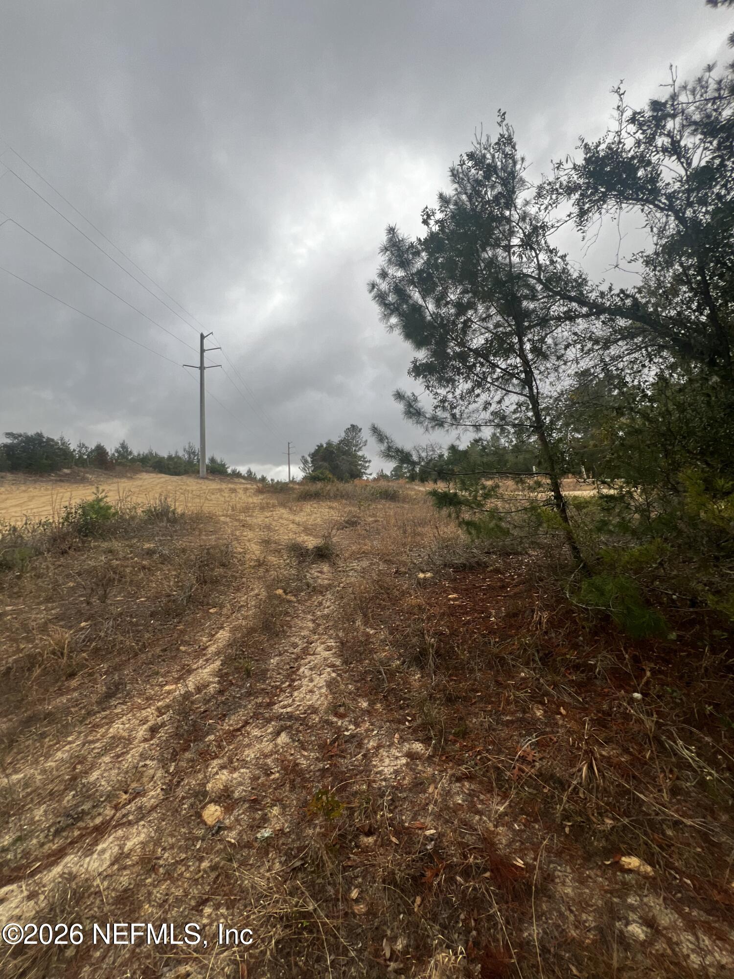 226 Ridge Road Satsuma, FL 32189 - Photo 55 of 61 IMG_0916