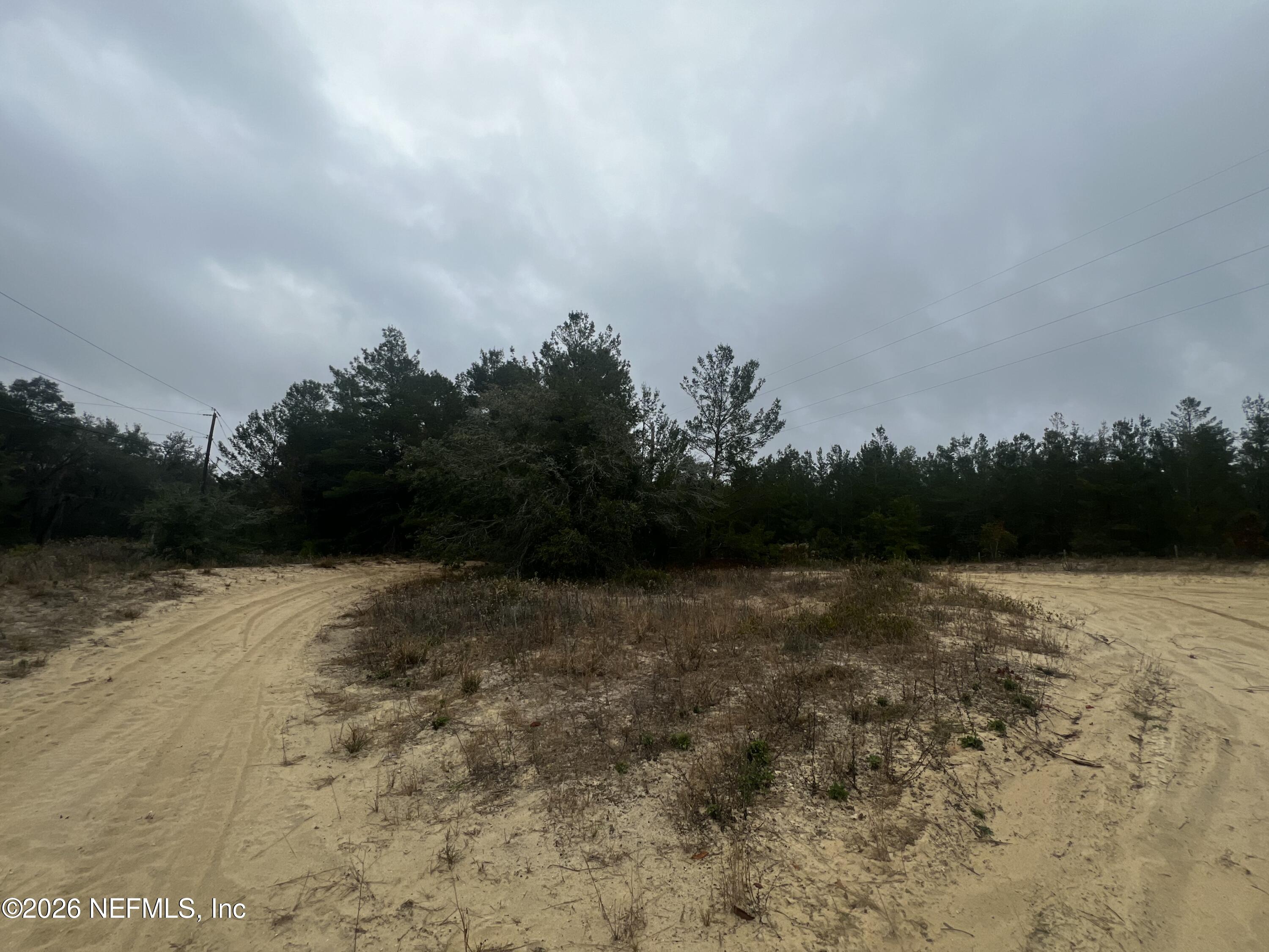 226 Ridge Road Satsuma, FL 32189 - Photo 57 of 61 IMG_0903