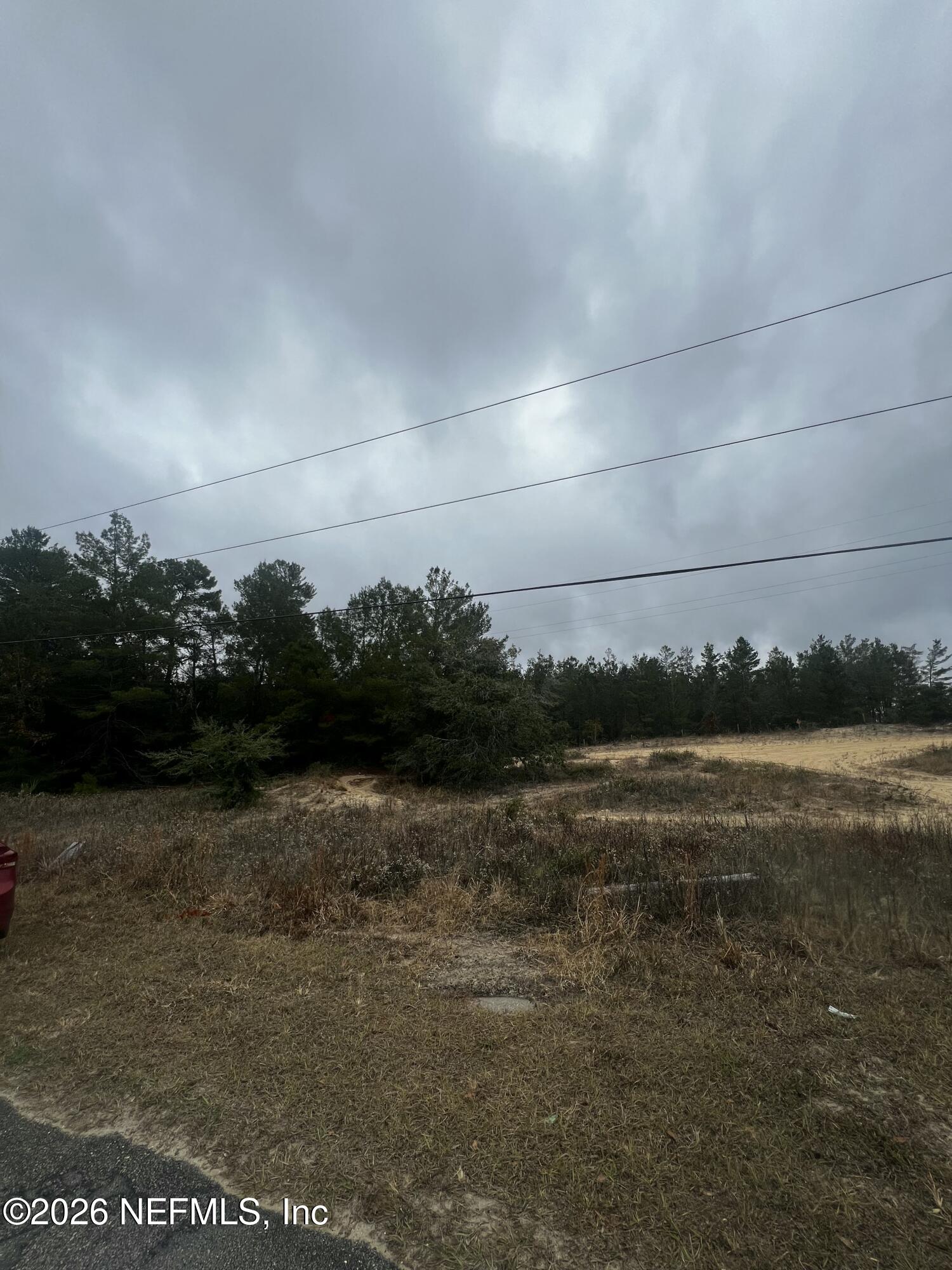 226 Ridge Road Satsuma, FL 32189 - Photo 58 of 61 IMG_0899