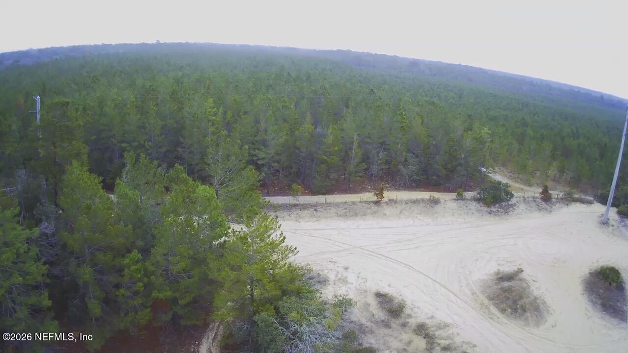 226 Ridge Road Satsuma, FL 32189 - Photo 59 of 61 IMG_4369