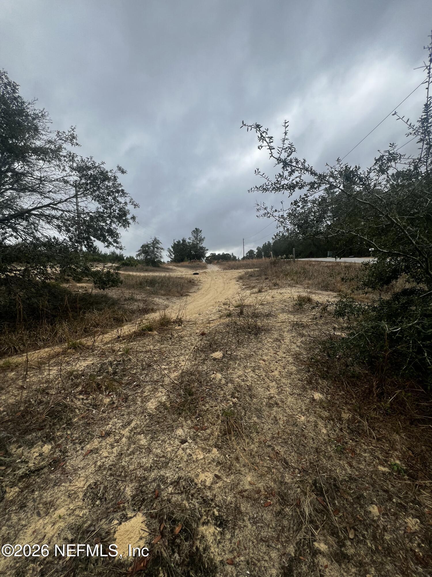 226 Ridge Road Satsuma, FL 32189 - Photo 8 of 61 IMG_0930