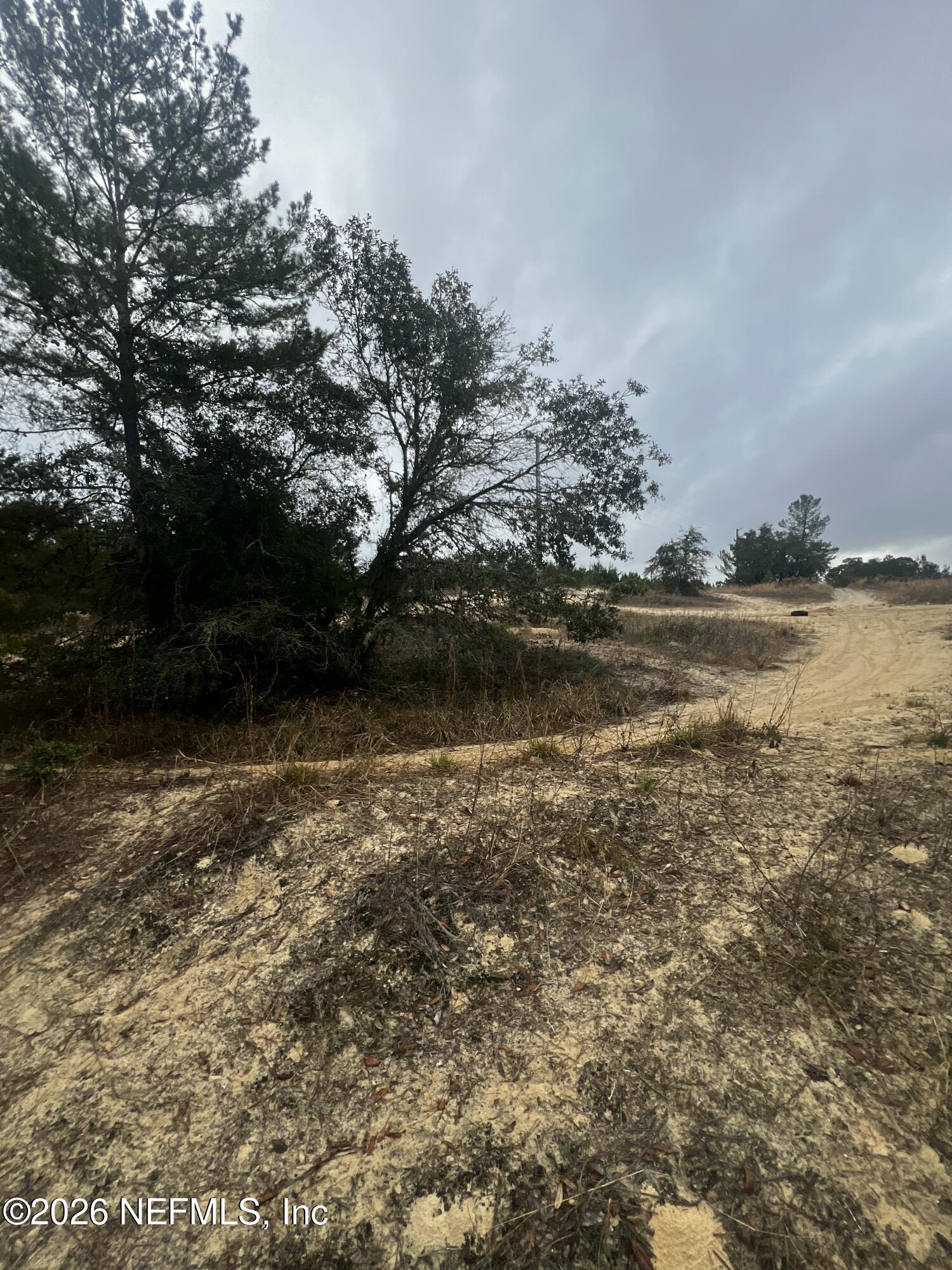 226 Ridge Road Satsuma, FL 32189 - Photo 10 of 61 IMG_0934