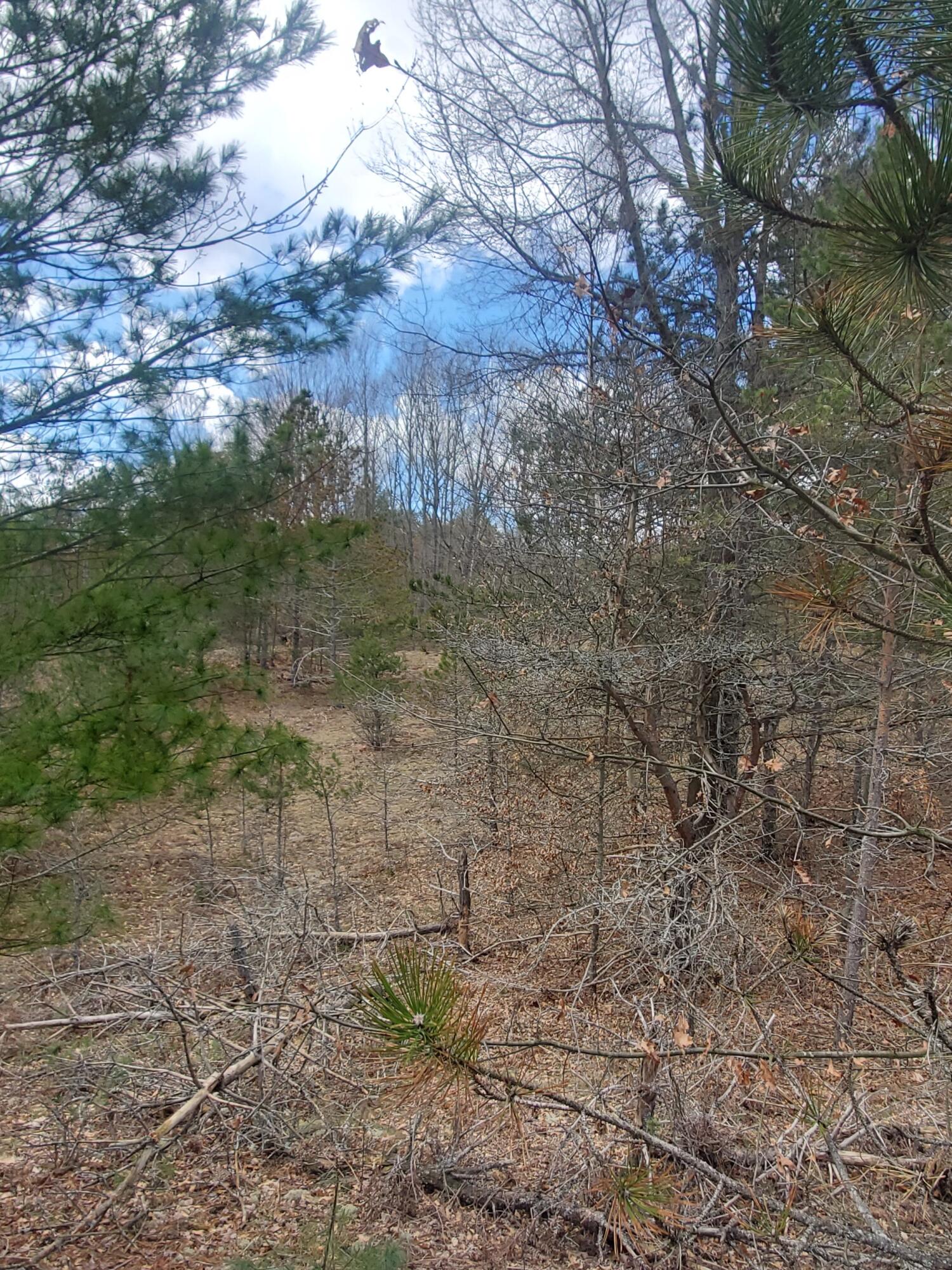 10 East 14 Mile Road Bitely, MI 49309 - Photo 3 of 6 20220414_142907