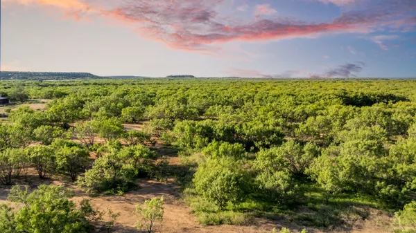 a view of a big yard with lots of green space and plants