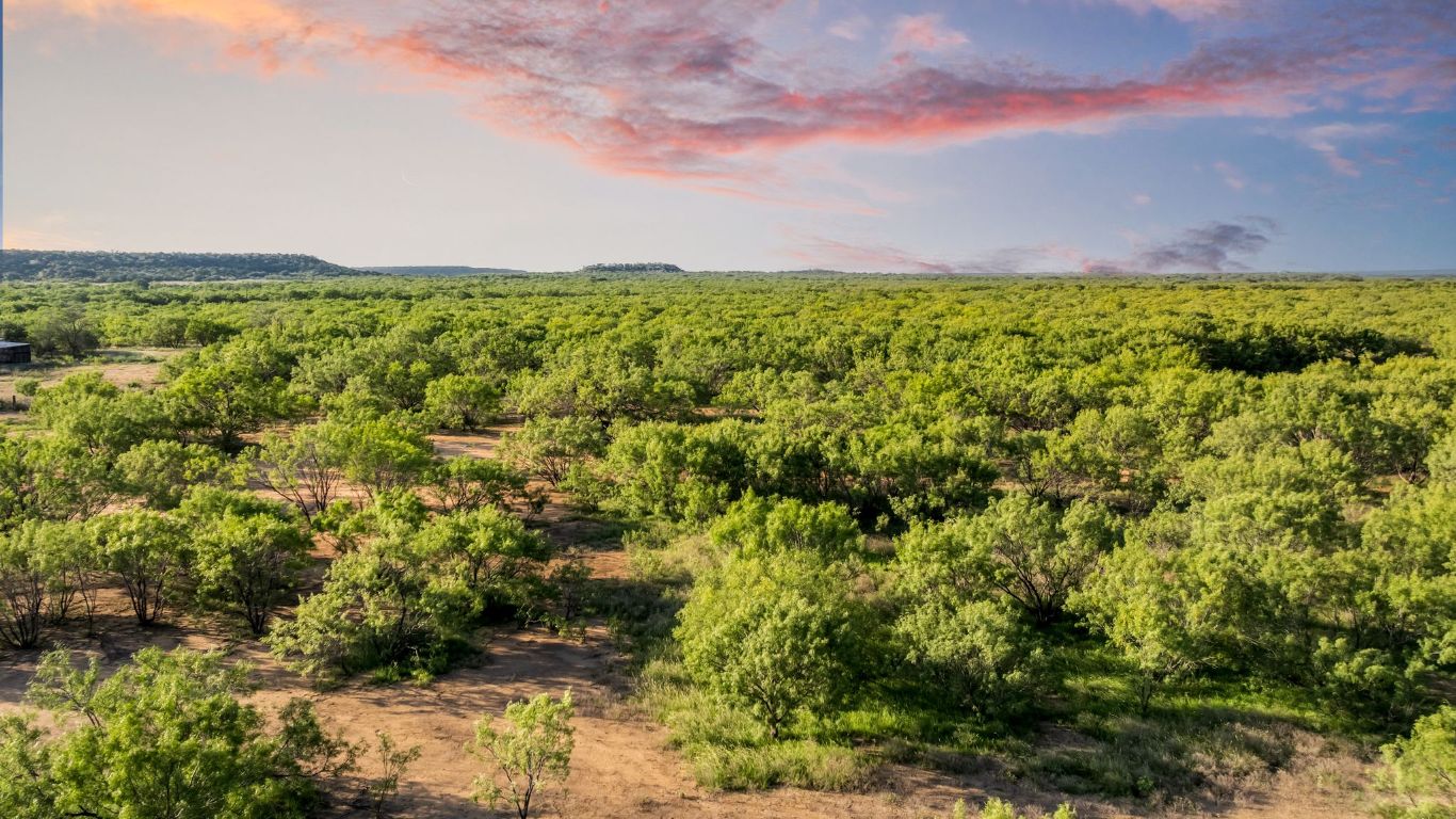 a view of a big yard with lots of green space and plants