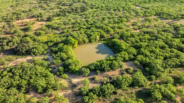 a view of an ocean and beach