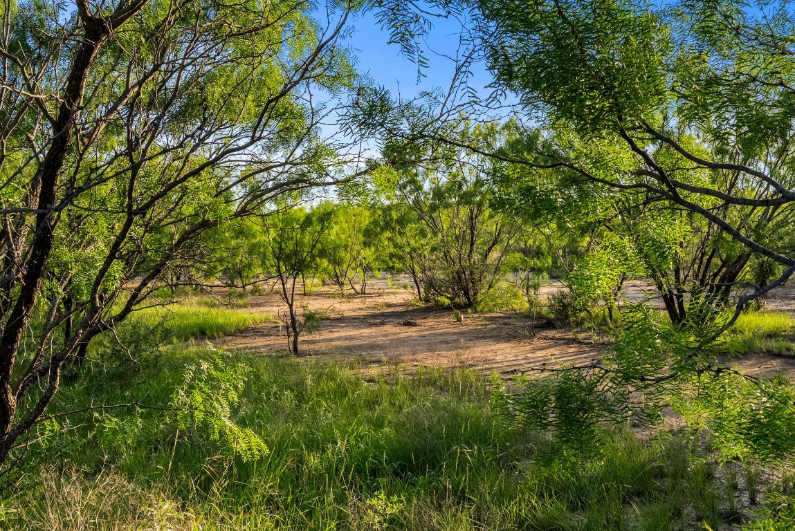 2186 FM 1028 Rochelle, TX 76872 - Photo 16 of 19 a view of a yard with plants and trees