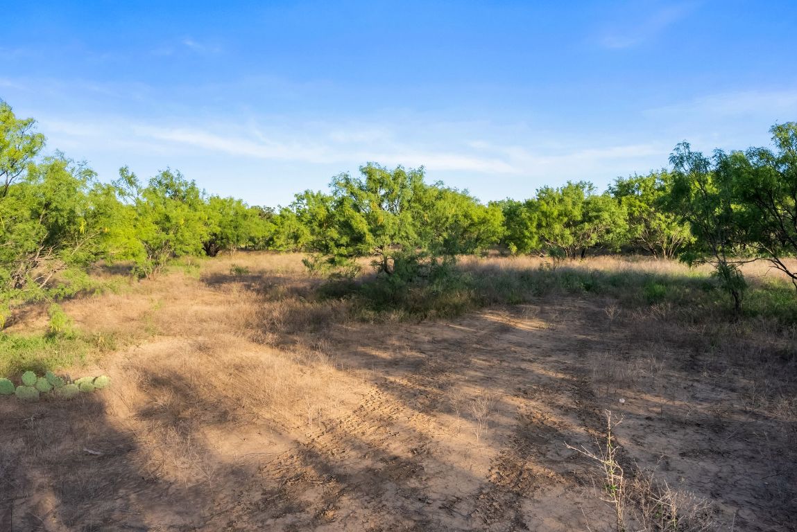 2186 FM 1028 Rochelle, TX 76872 - Photo 17 of 19 a view of a yard with a tree