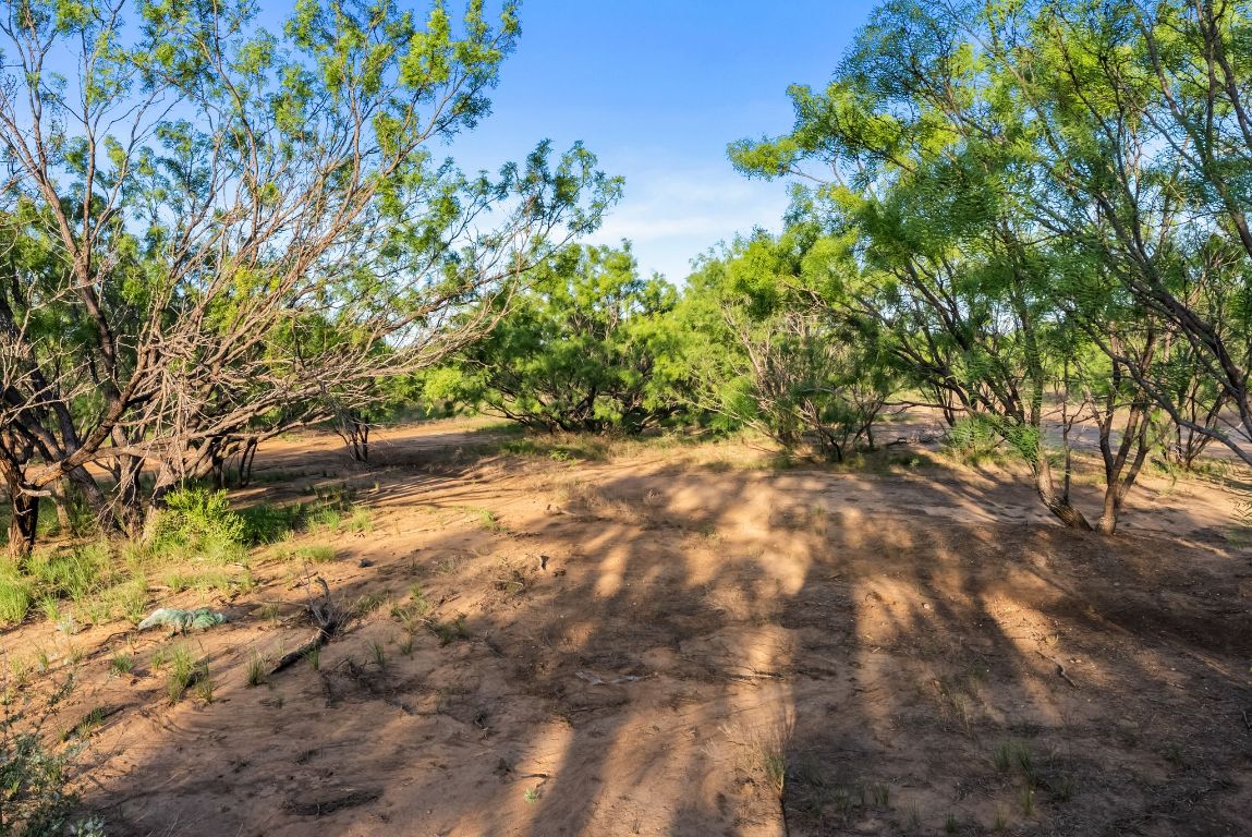 2186 FM 1028 Rochelle, TX 76872 - Photo 18 of 19 a view of yard with green space