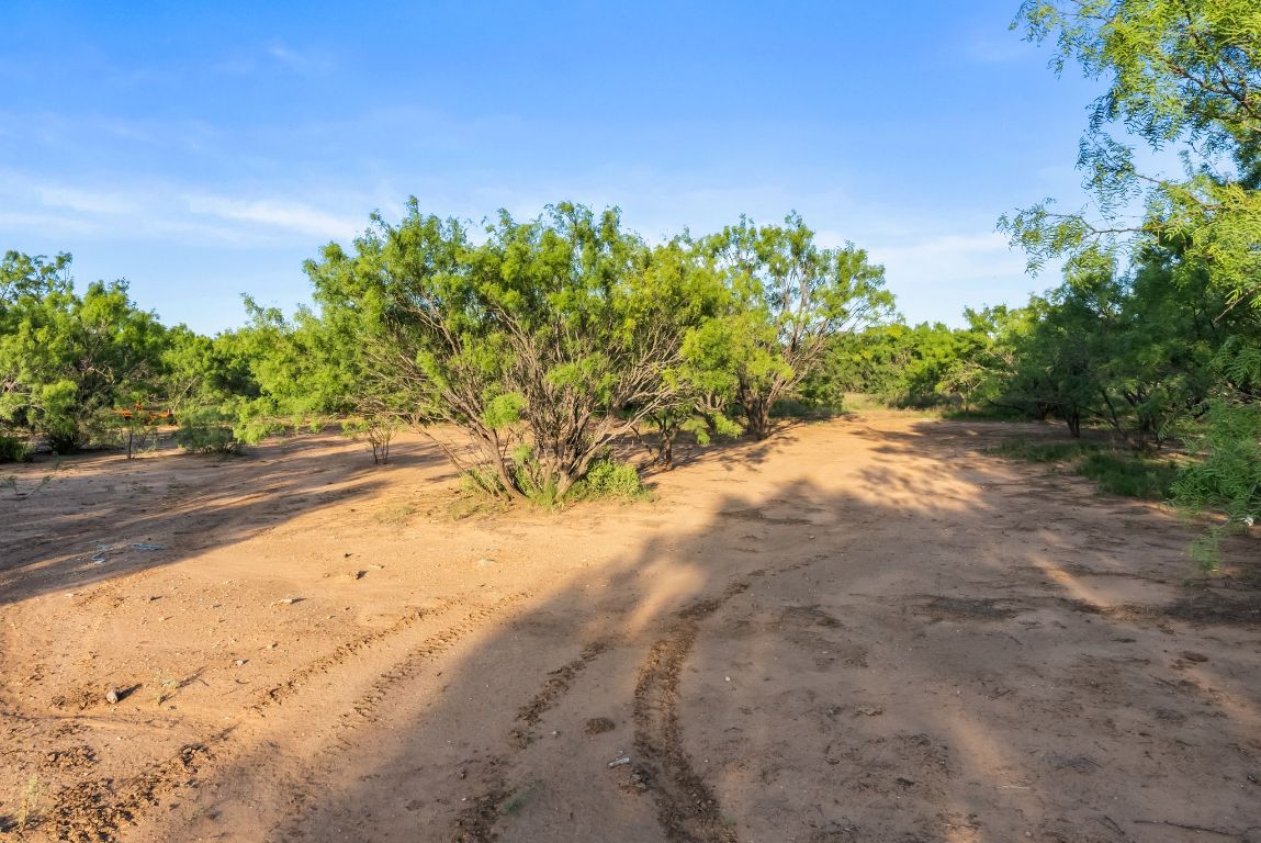 2186 FM 1028 Rochelle, TX 76872 - Photo 19 of 19 a view of a yard with a tree