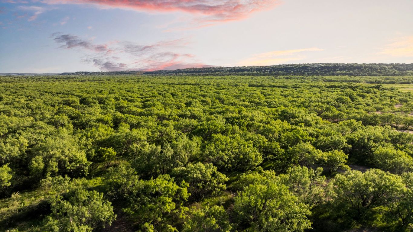 2186 FM 1028 Rochelle, TX 76872 - Photo 3 of 19 a view of a yard