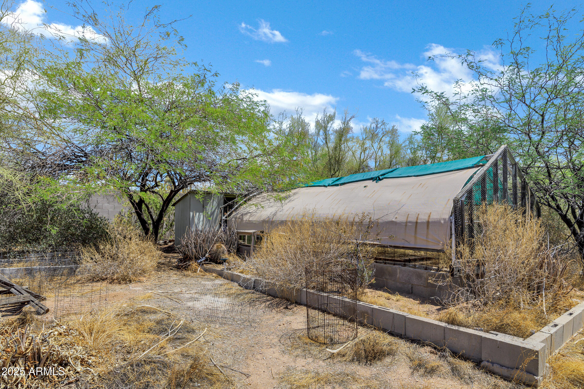 4655 North Winchester Road Apache Junction, AZ 85119 - Photo 26 of 31 Greenhouse