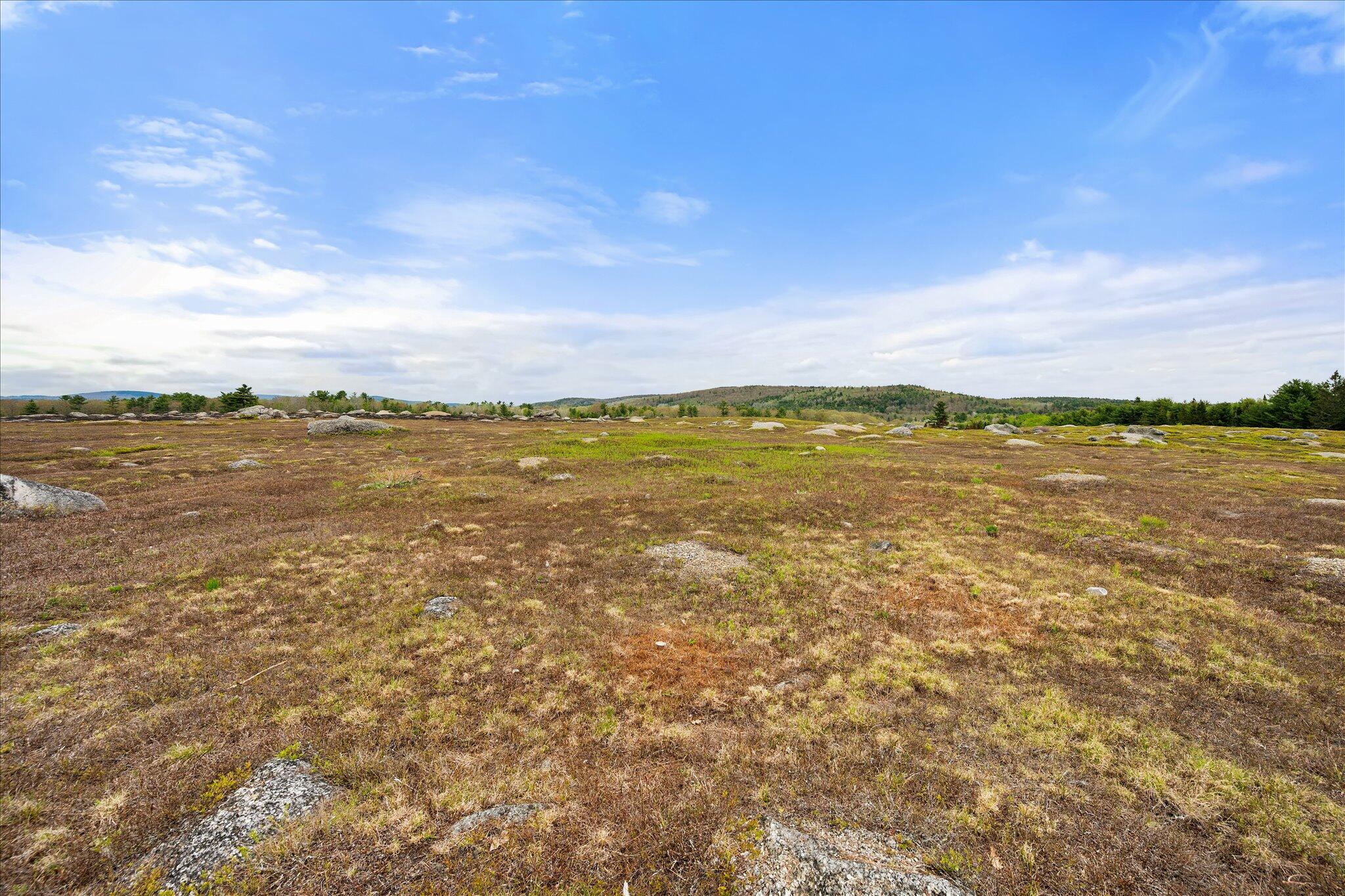 6 Map Road Orland, ME 04472 - Photo 22 of 22 Map 6, Lot 31 C Cedar Swamp Rd.