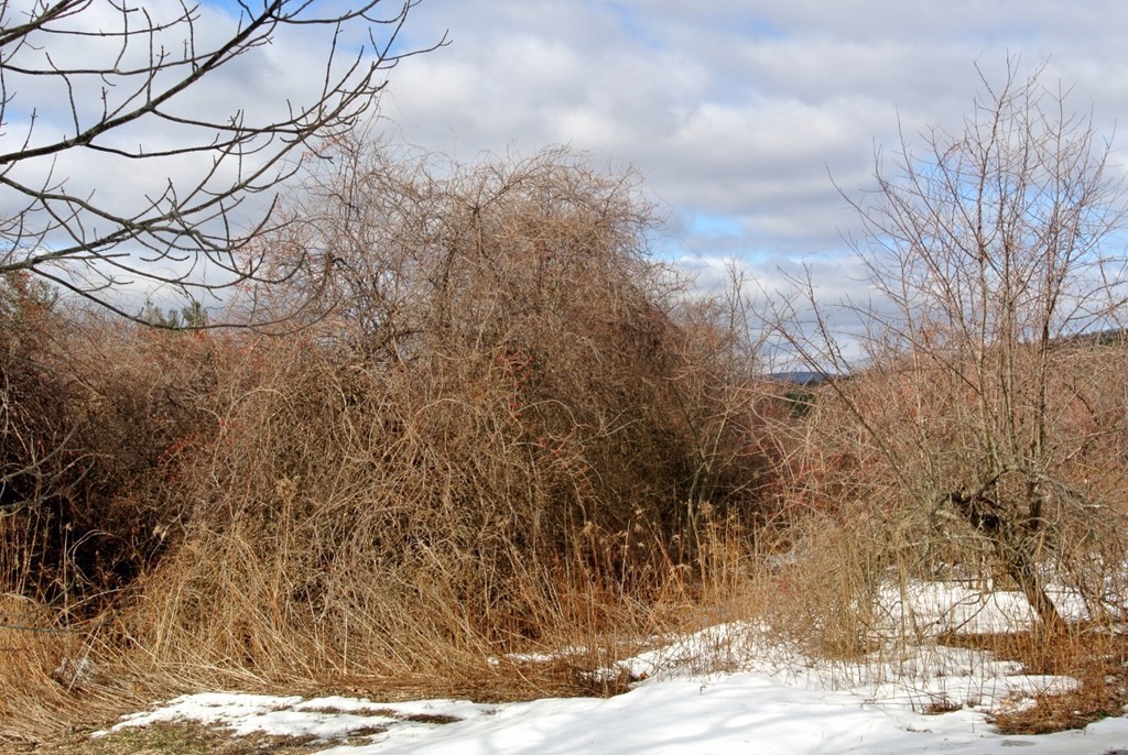 136 Heywood Road Sterling, MA 01564 - Photo 8 of 12 Gallery Image 8
