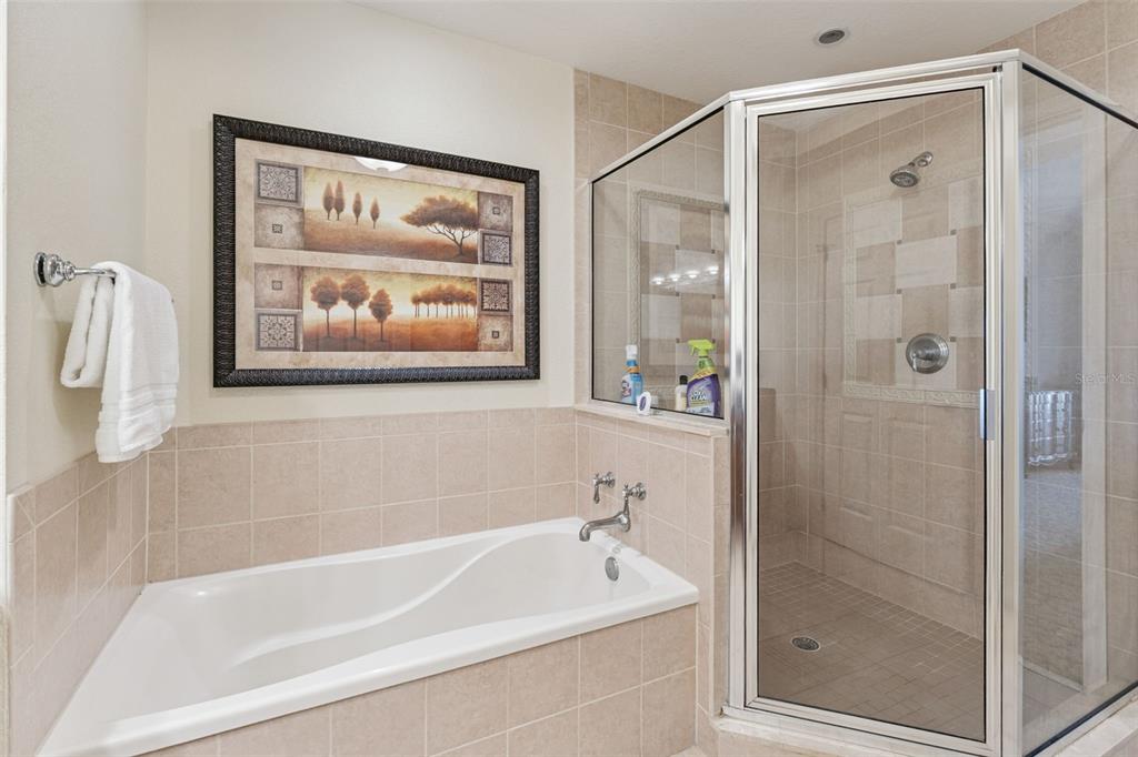 7612 Sandy Ridge Drive, Unit 303 Reunion, FL 34747 - Photo 11 of 20