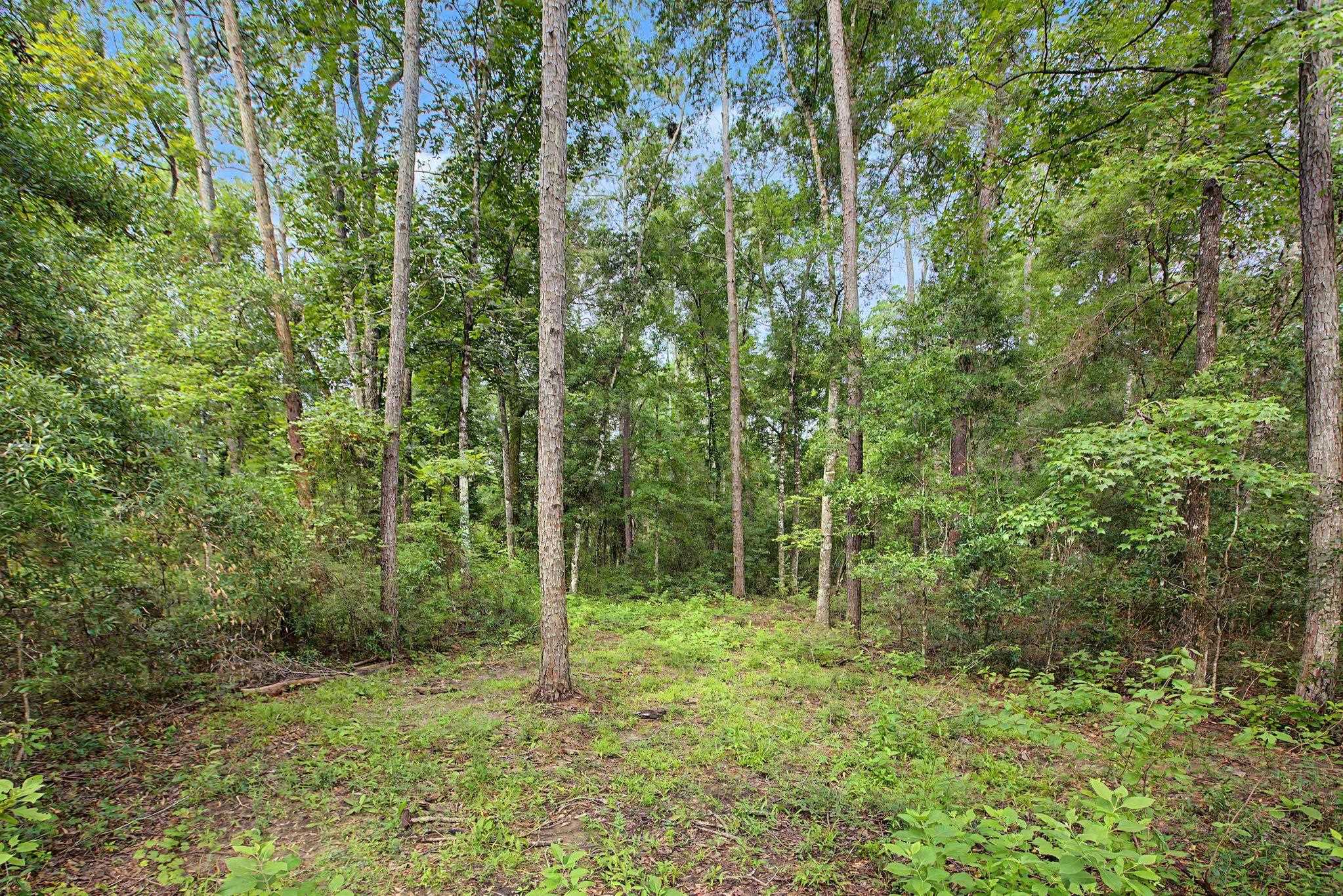 1391 Paul Thompson Road Monticello, FL 32344 - Photo 48 of 52