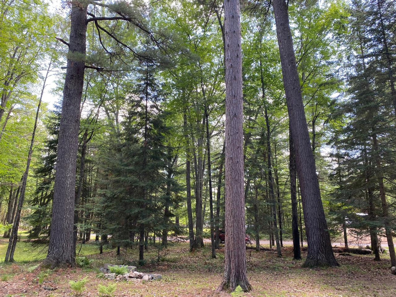 7090 Bass Lake Road Lake Tomahawk, WI 54539 - Photo 11 of 16 Gallery Image 11