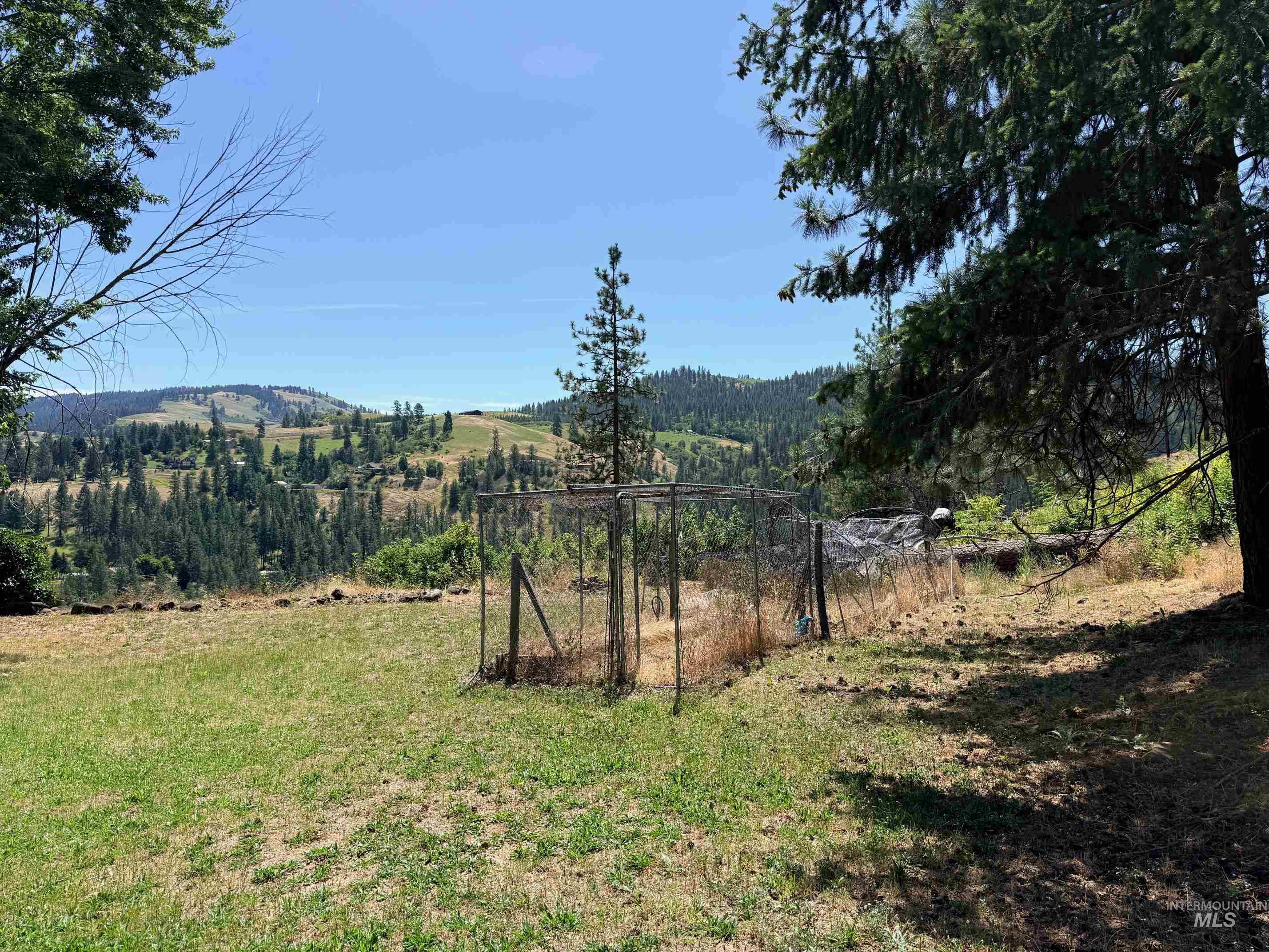 35322 River Road Lenore, ID 83541 - Photo 40 of 42 Expansive property featuring rolling hills, mature trees, and a distant mountain backdrop
