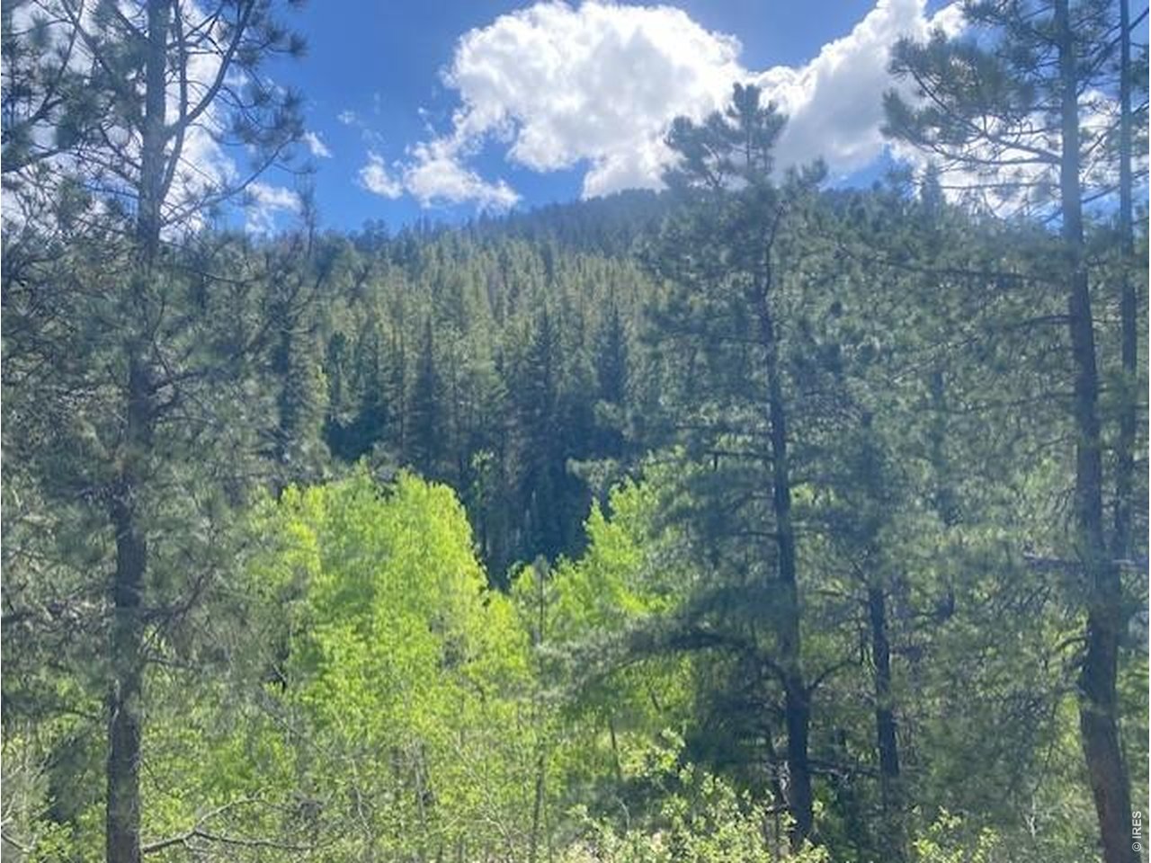 279 Switzerland Park Road Boulder, CO 80302 - Photo 18 of 23