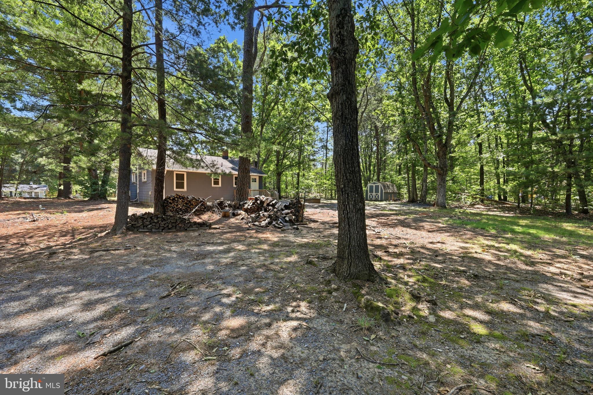 483 Haden Martin Road Palmyra, VA 22963 - Photo 13 of 18