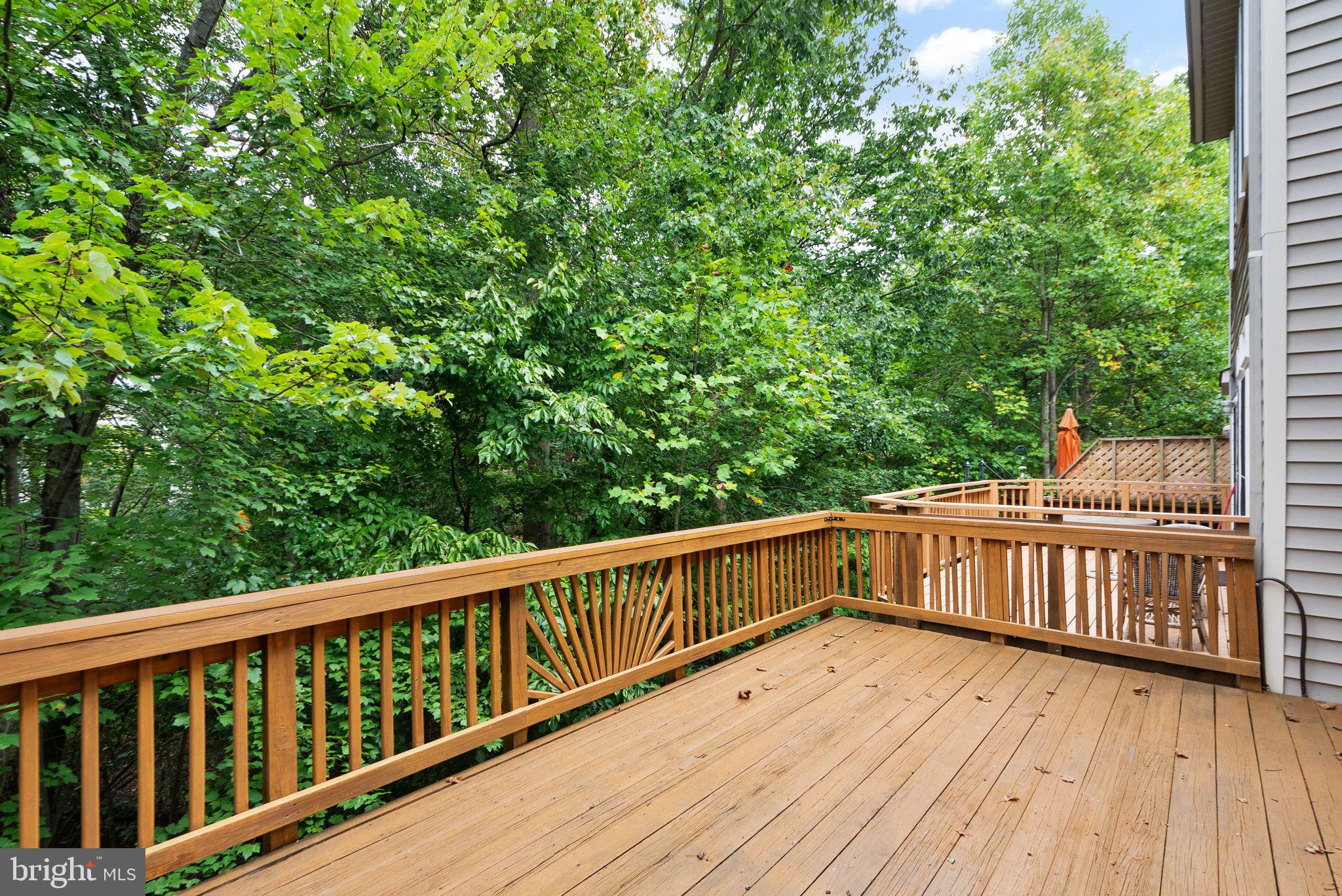 6635 Debra Lu Way Springfield, VA 22150 - Photo 20 of 44