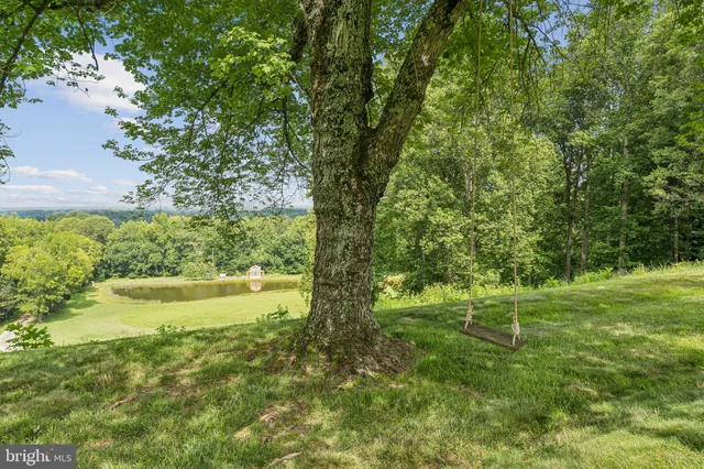 $9,000,000 | 23348 Tidewater Trail, Port Royal, VA 22535