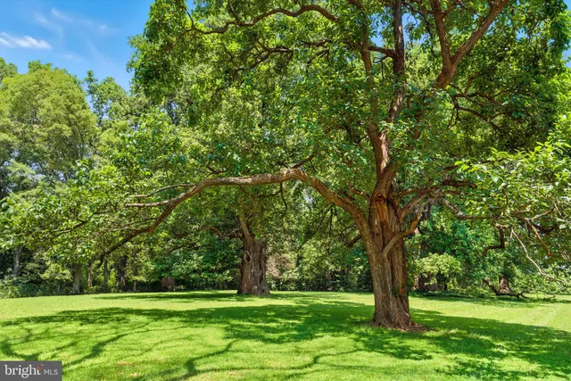 $9,000,000 | 23348 Tidewater Trail, Port Royal, VA 22535