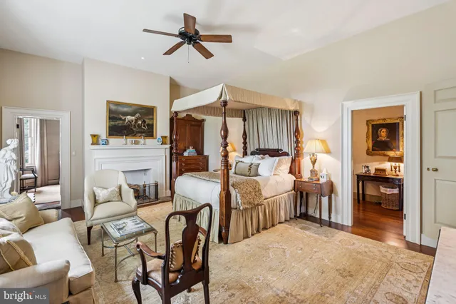 a view of backyard with potted plants and large tree
