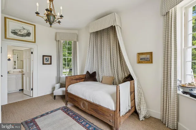 a view of a bunch of flowers in a garden