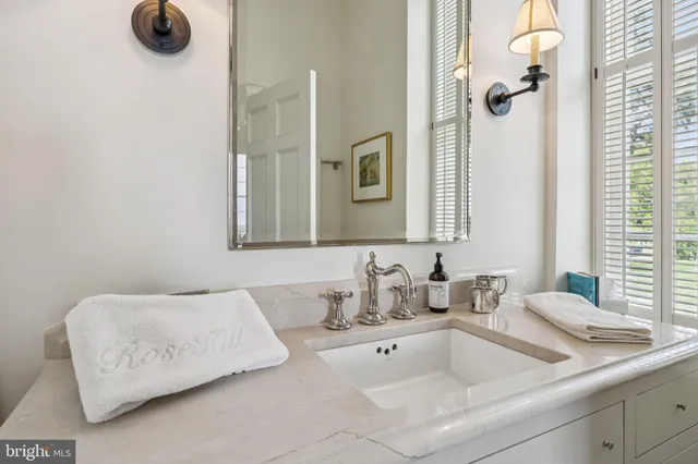 a view of a yard with plants and trees